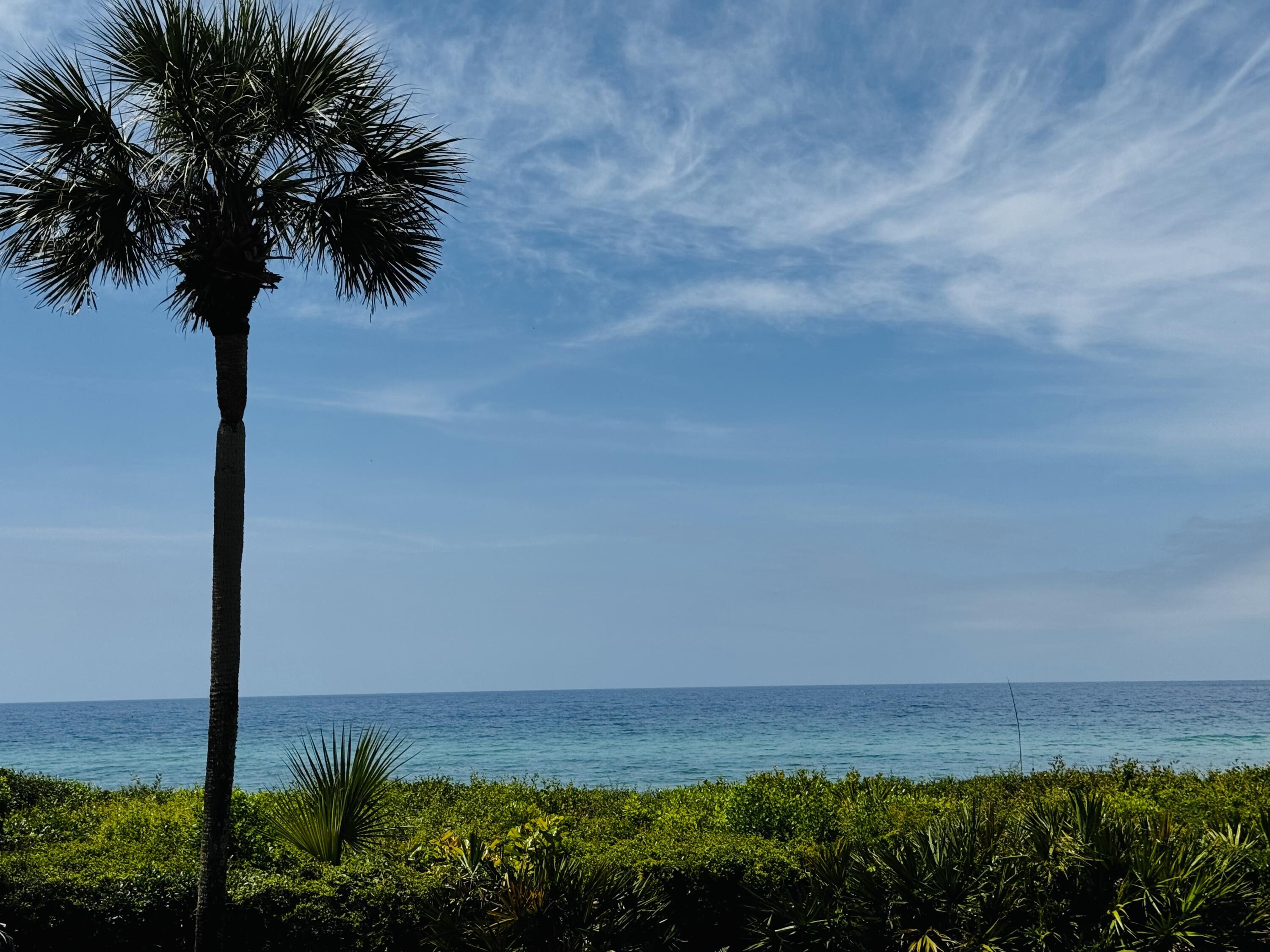 PALMS AT SEAGROVE CONDO UNIT C - Residential