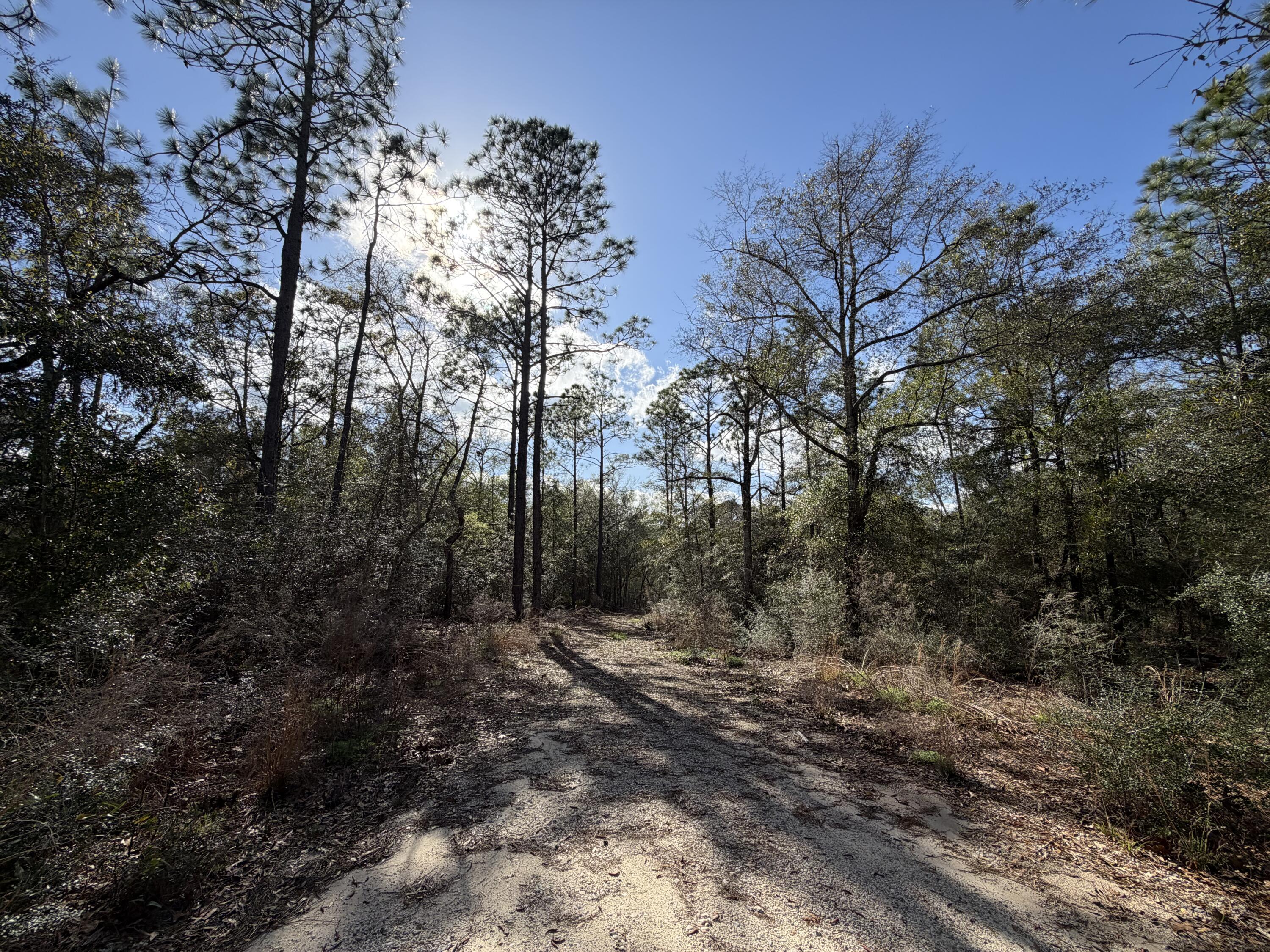 UNRECORDED SUBDIVISION - Land