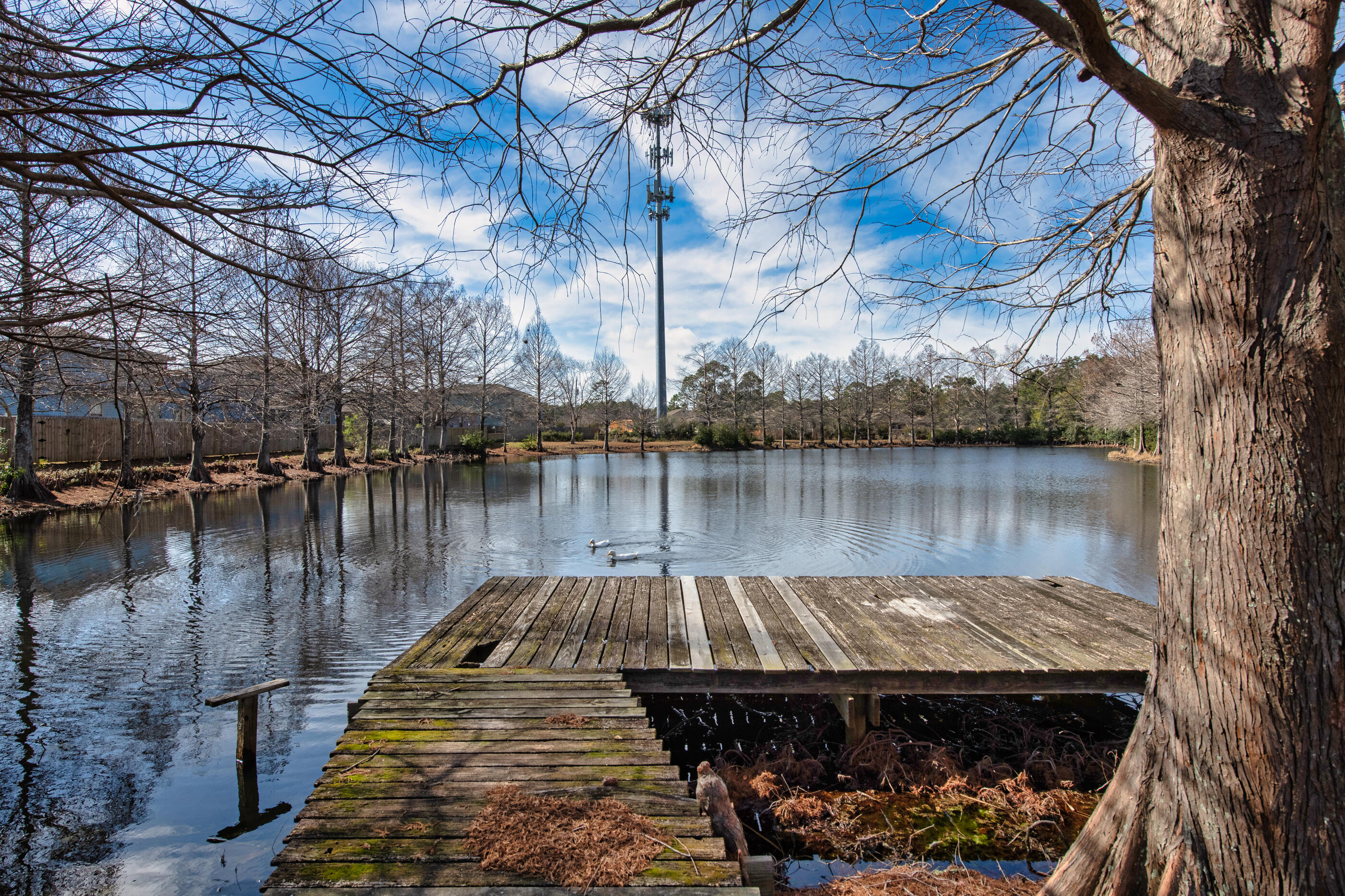 Hiawatha Preserve - Residential