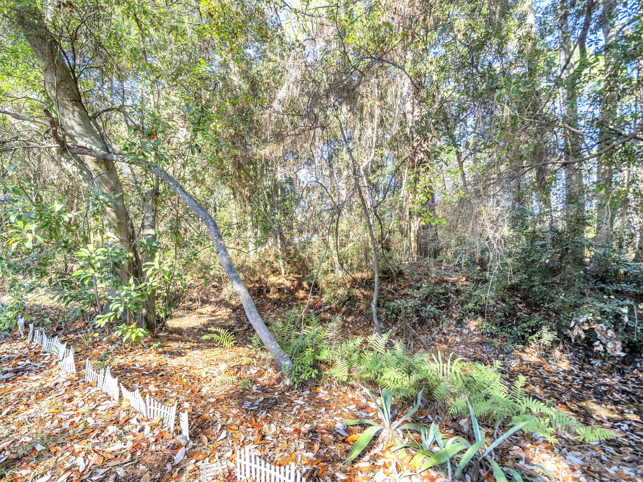 LARKER WOOD ESTATES - Residential