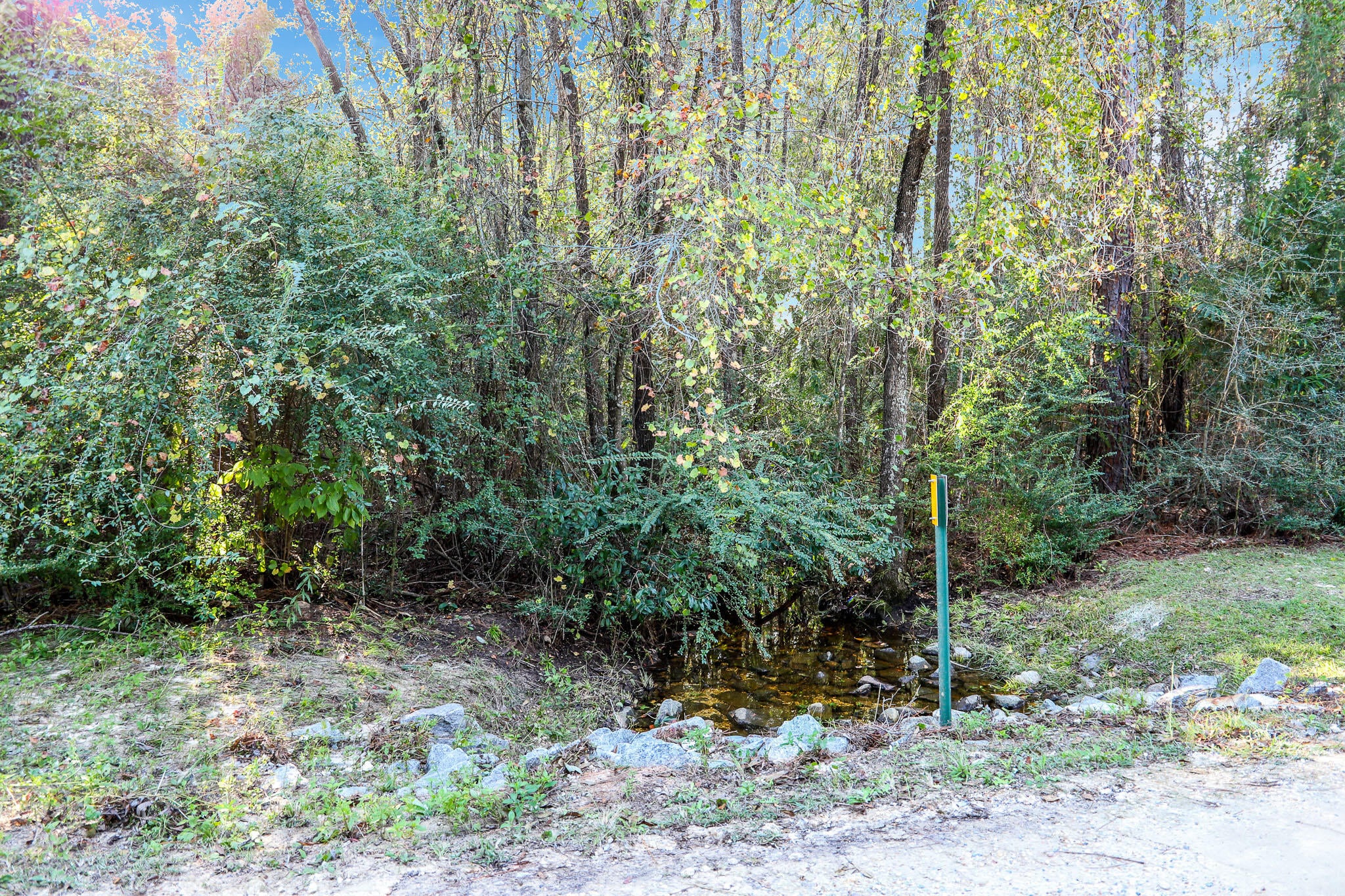 1.5 ACRES Grace Drive