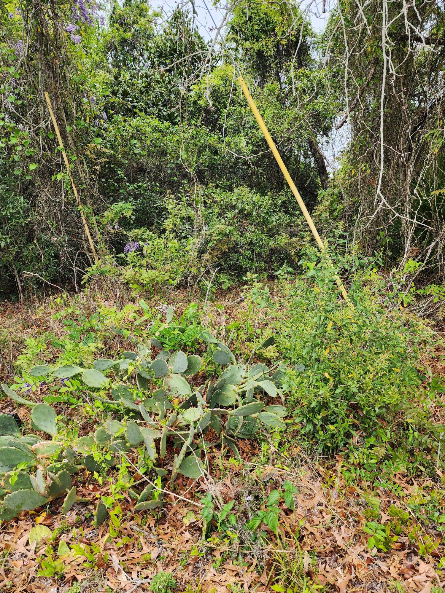 WILLIAMS CREEK ESTATES - Land