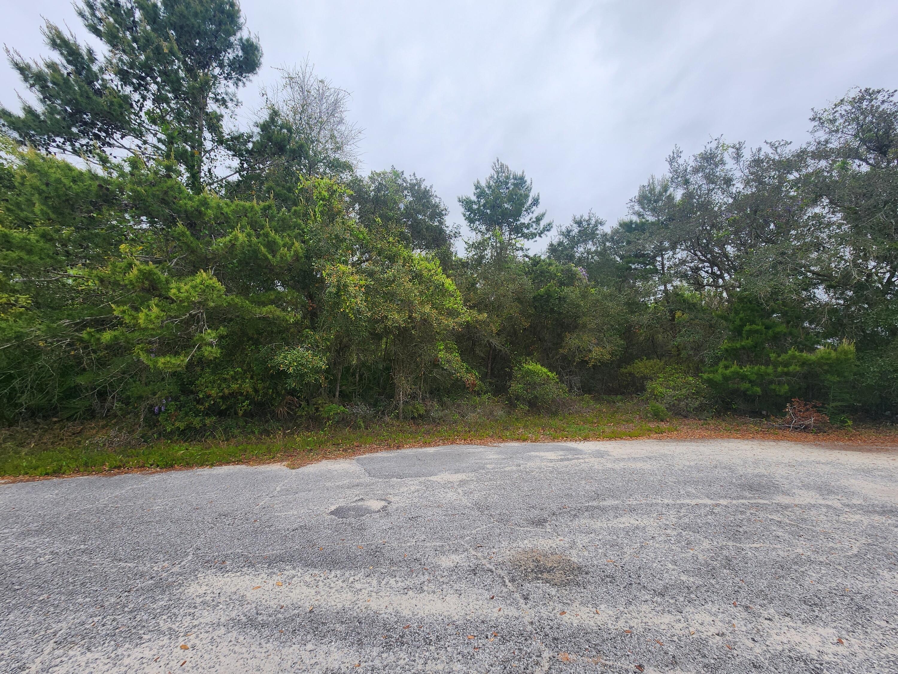 WILLIAMS CREEK ESTATES - Land