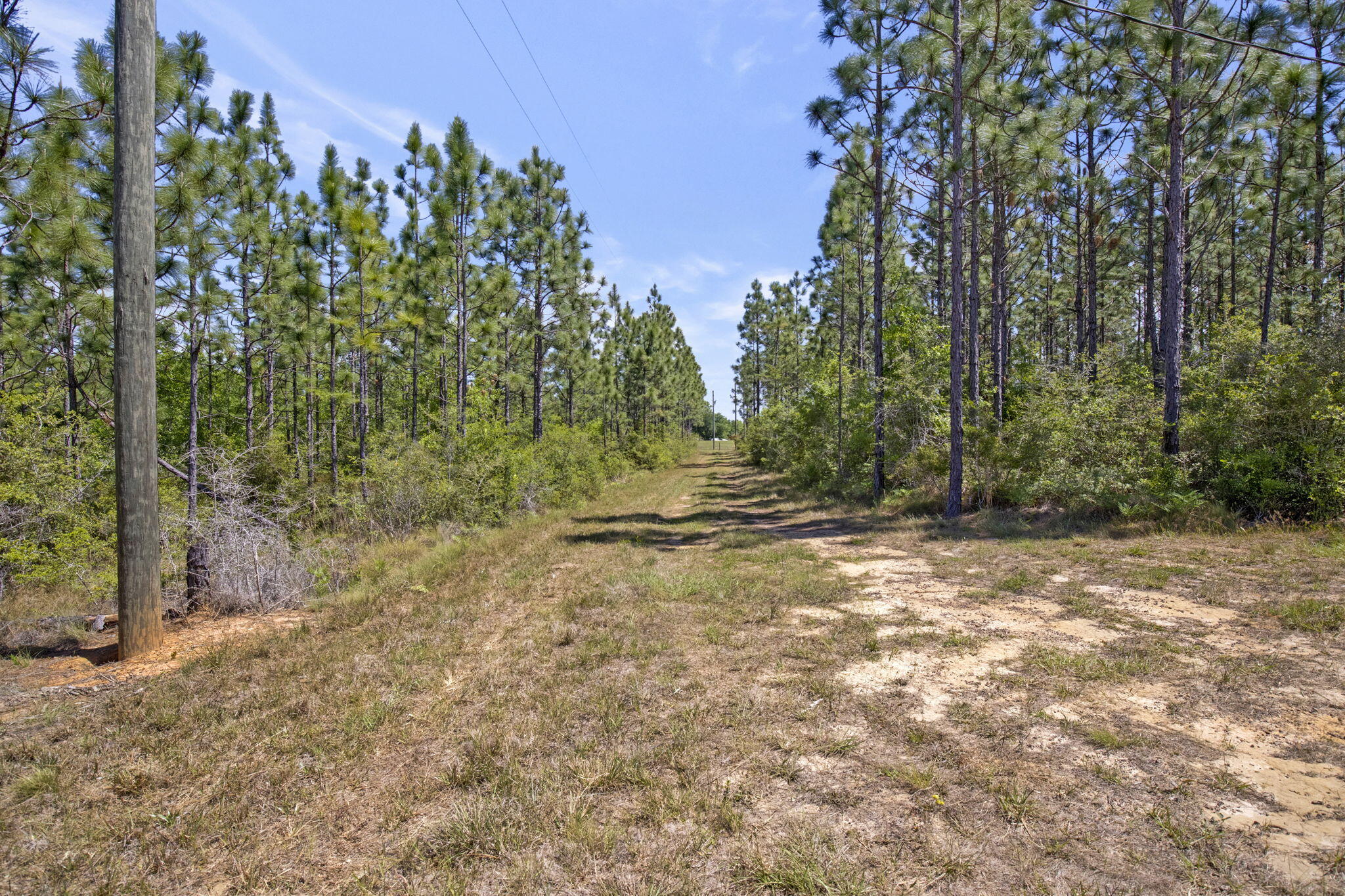 Tidwell Place - Land