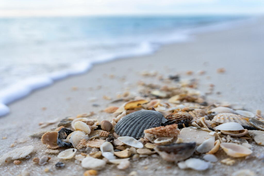 laguna beach estates - Residential