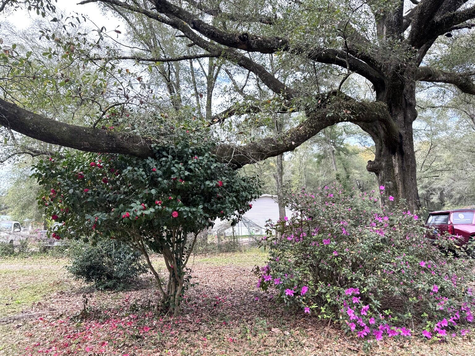 PALM LAKE 2ND ADDN UNREC - Residential