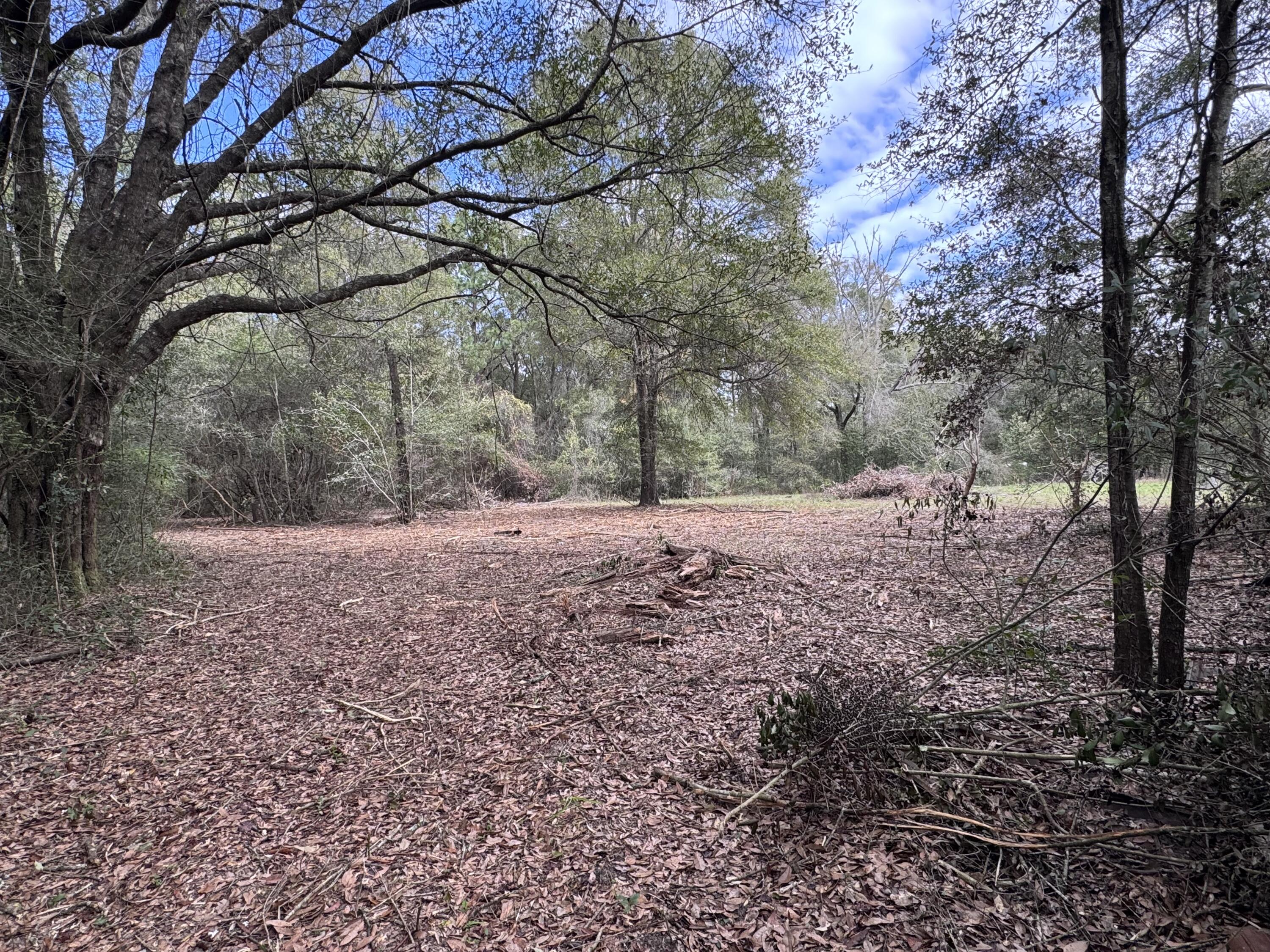 PALM LAKE 2ND ADDN UNREC - Residential