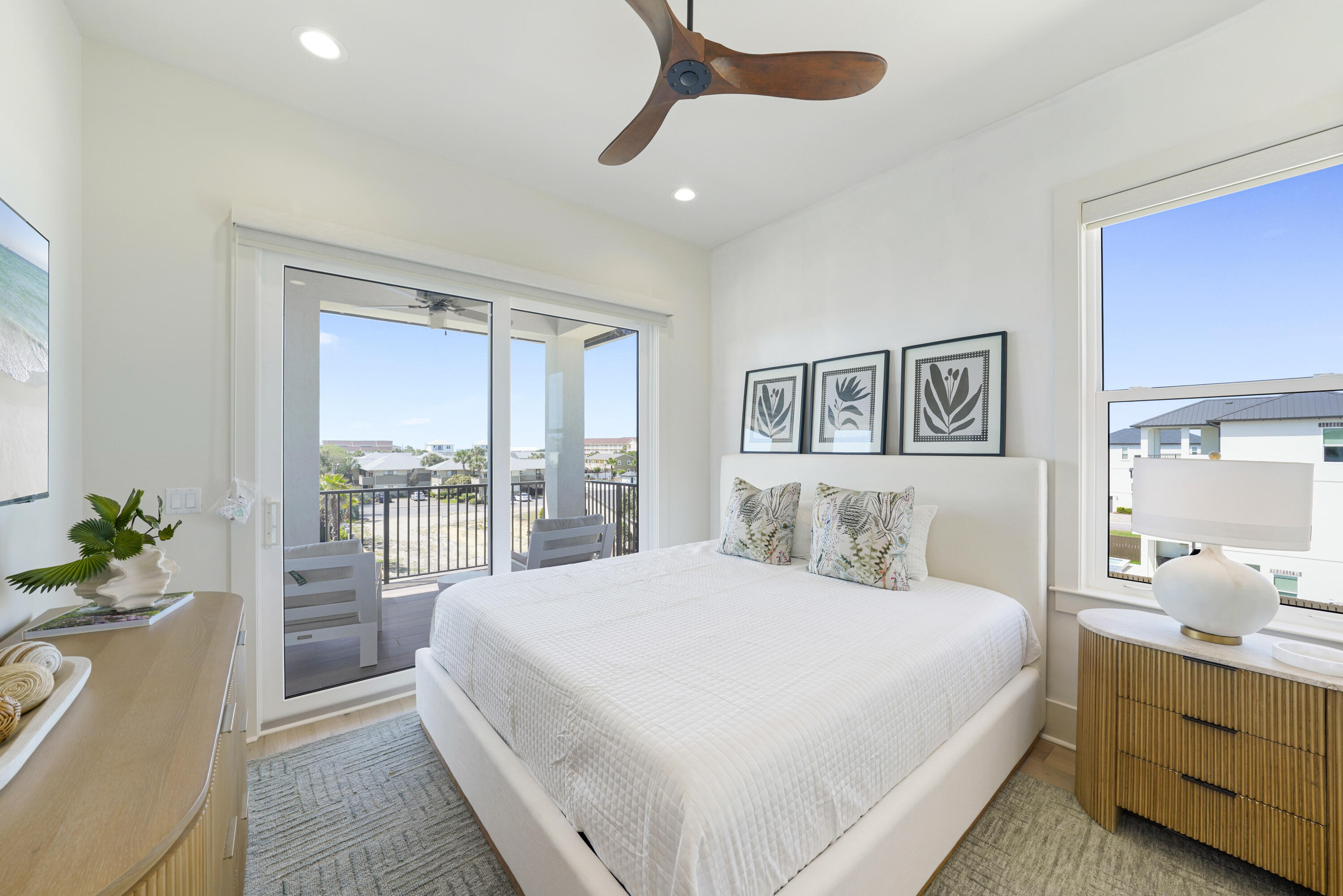 Batchelor's Button - Residential