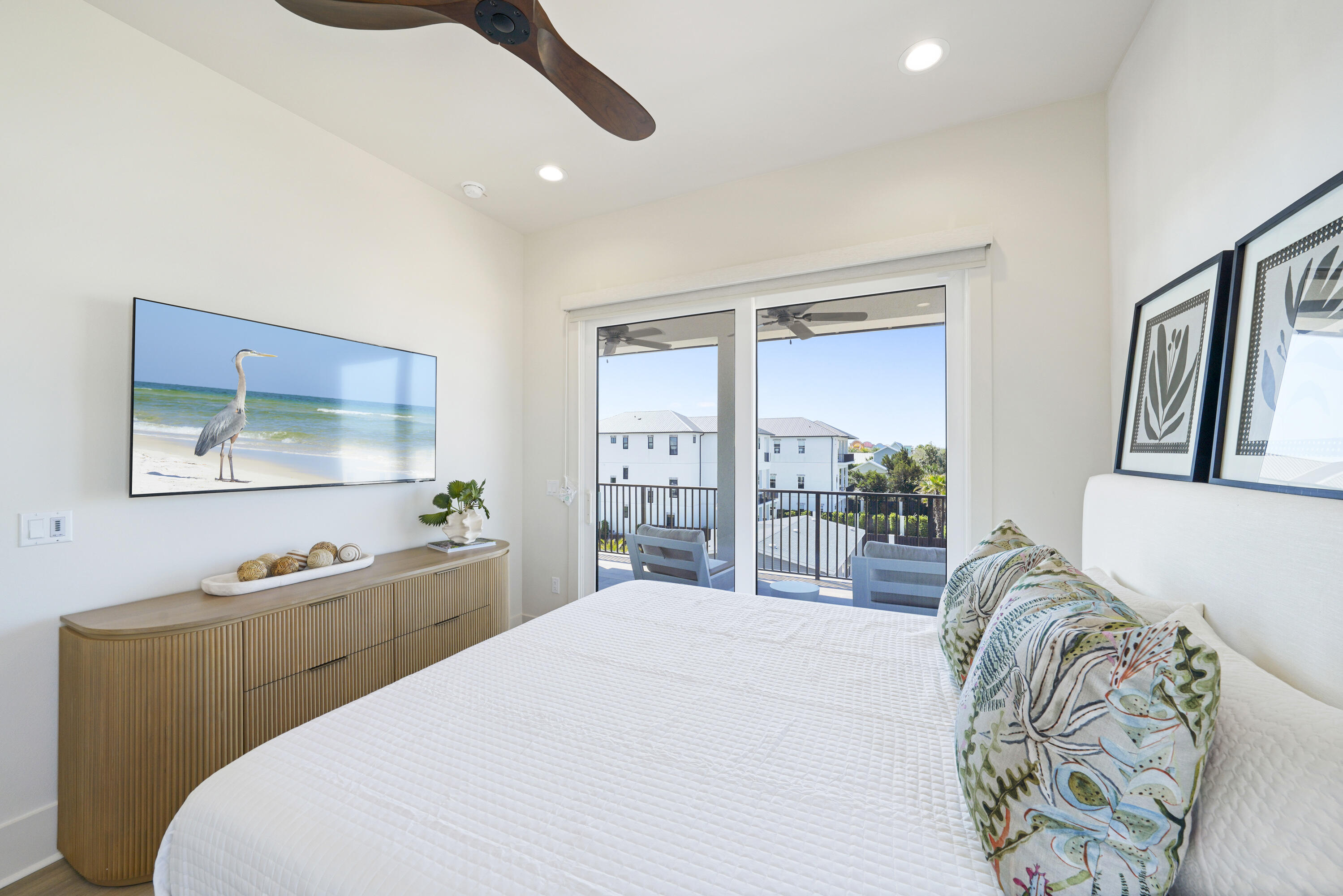 Batchelor's Button - Residential