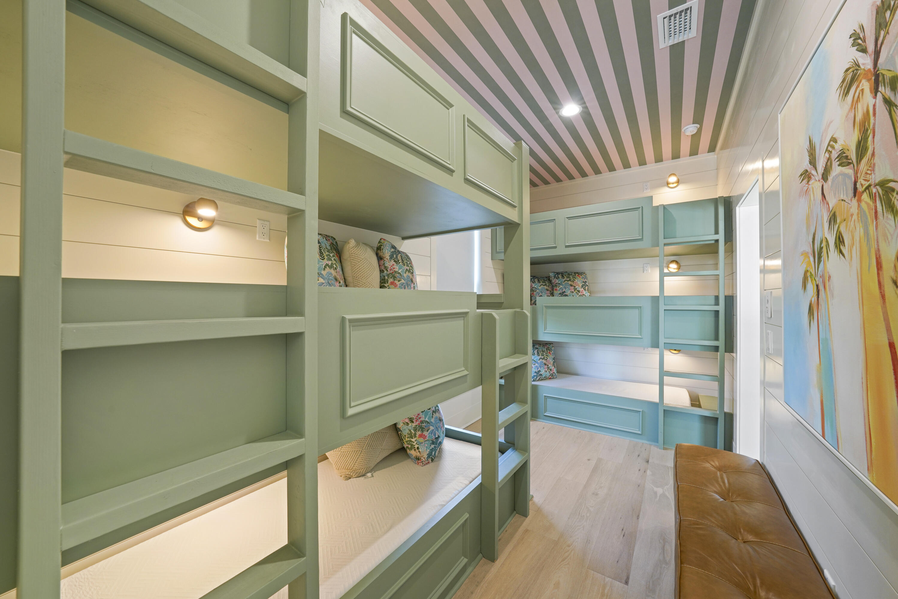 Batchelor's Button - Residential