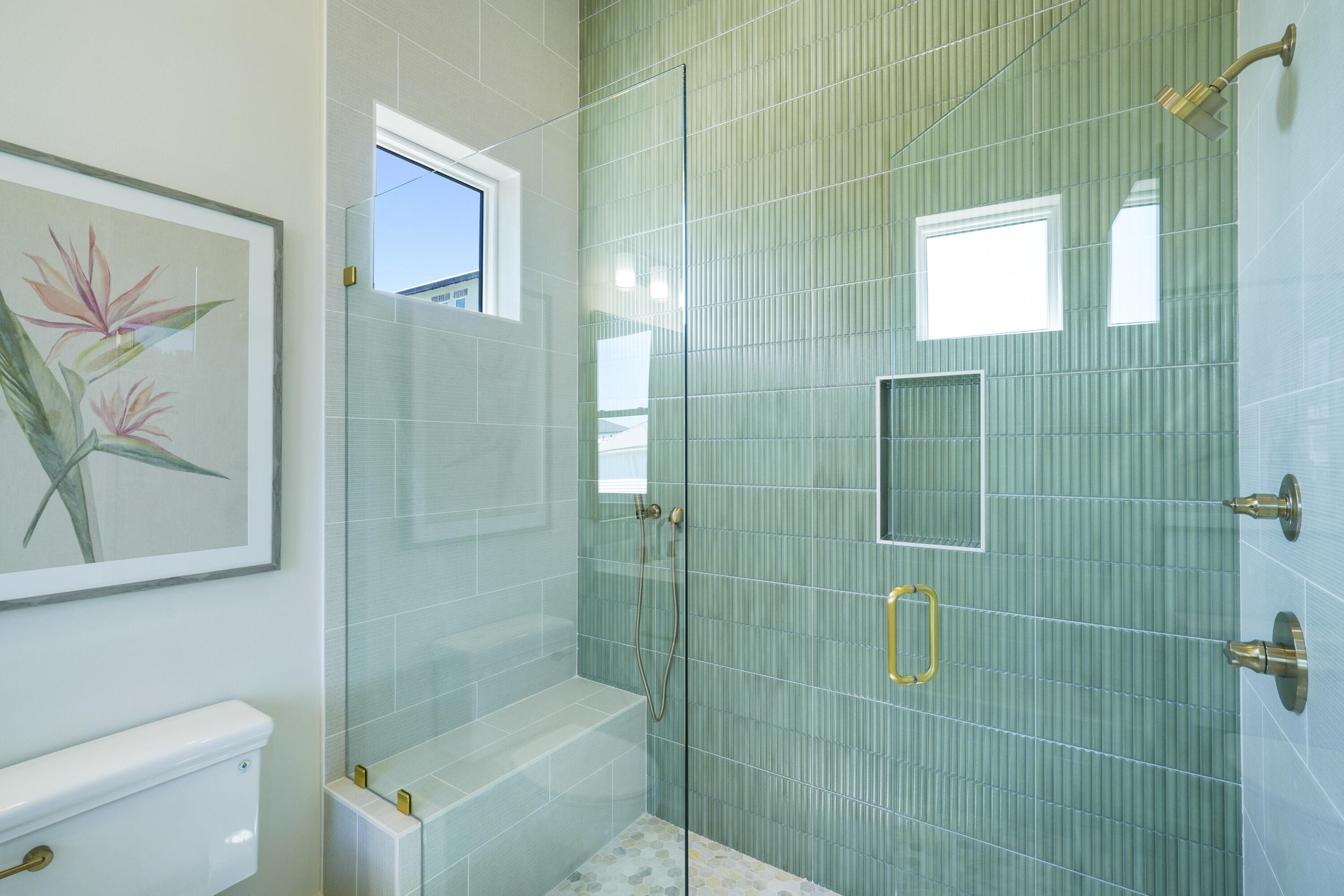 Batchelor's Button - Residential