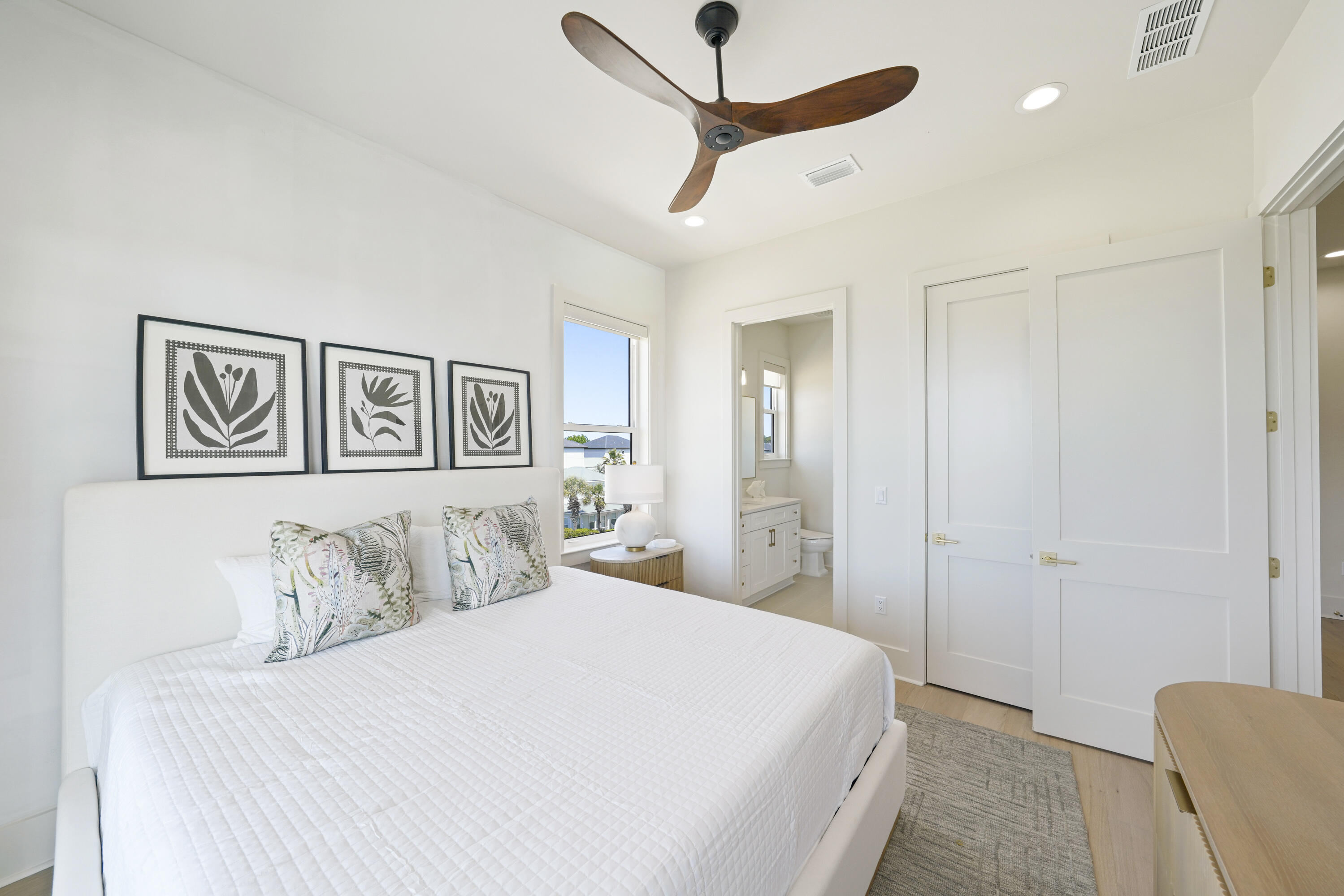 Batchelor's Button - Residential