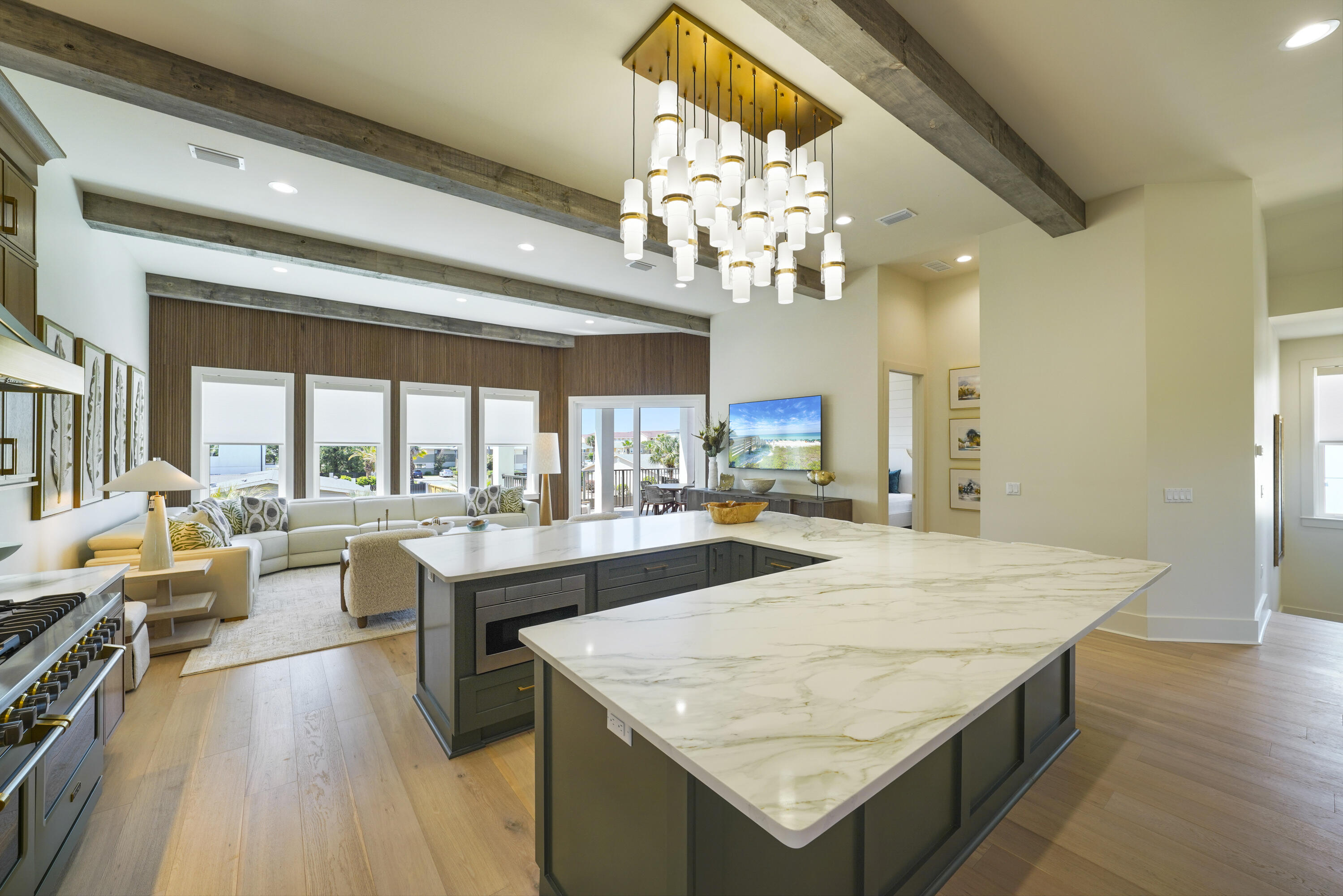 Batchelor's Button - Residential