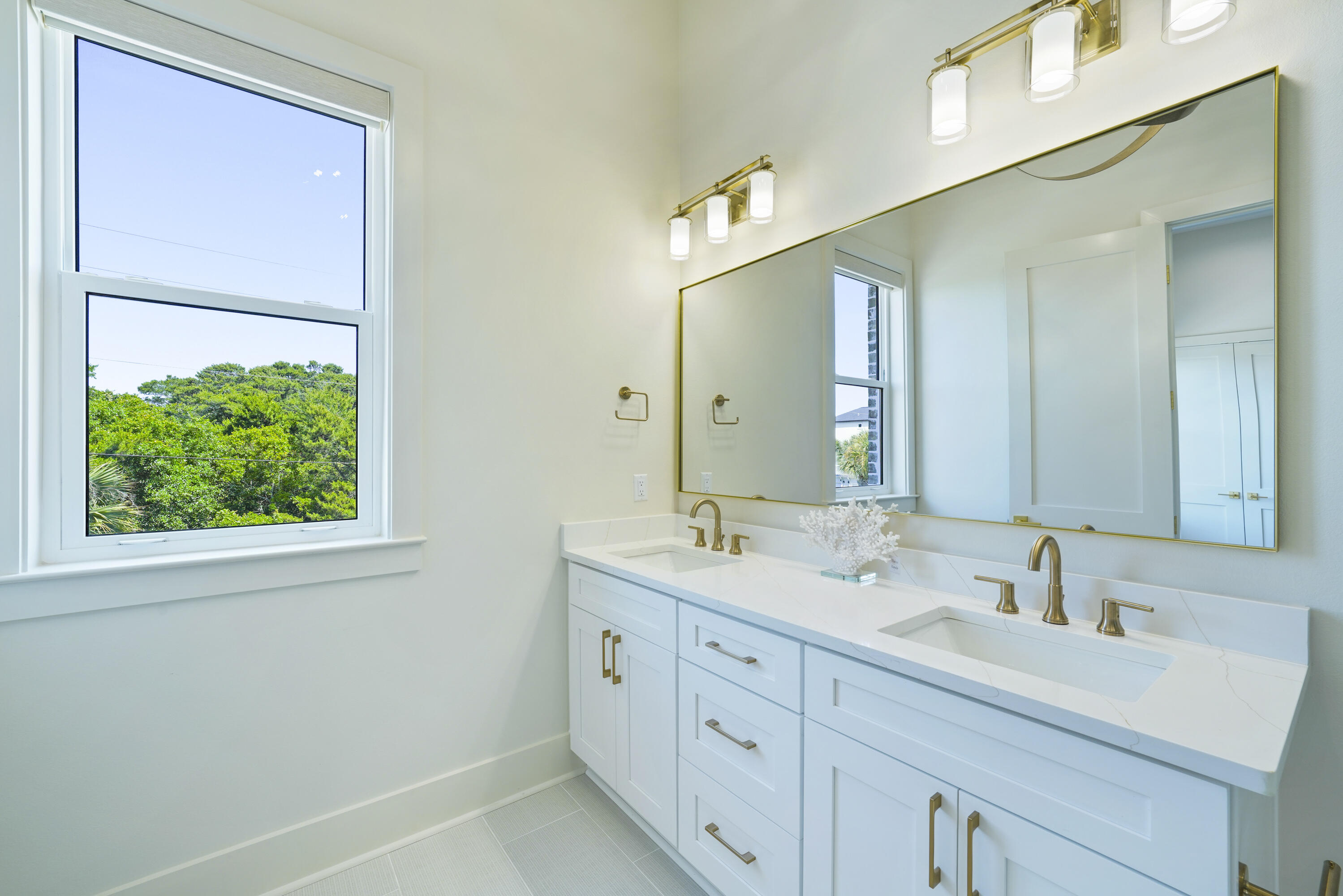 Batchelor's Button - Residential