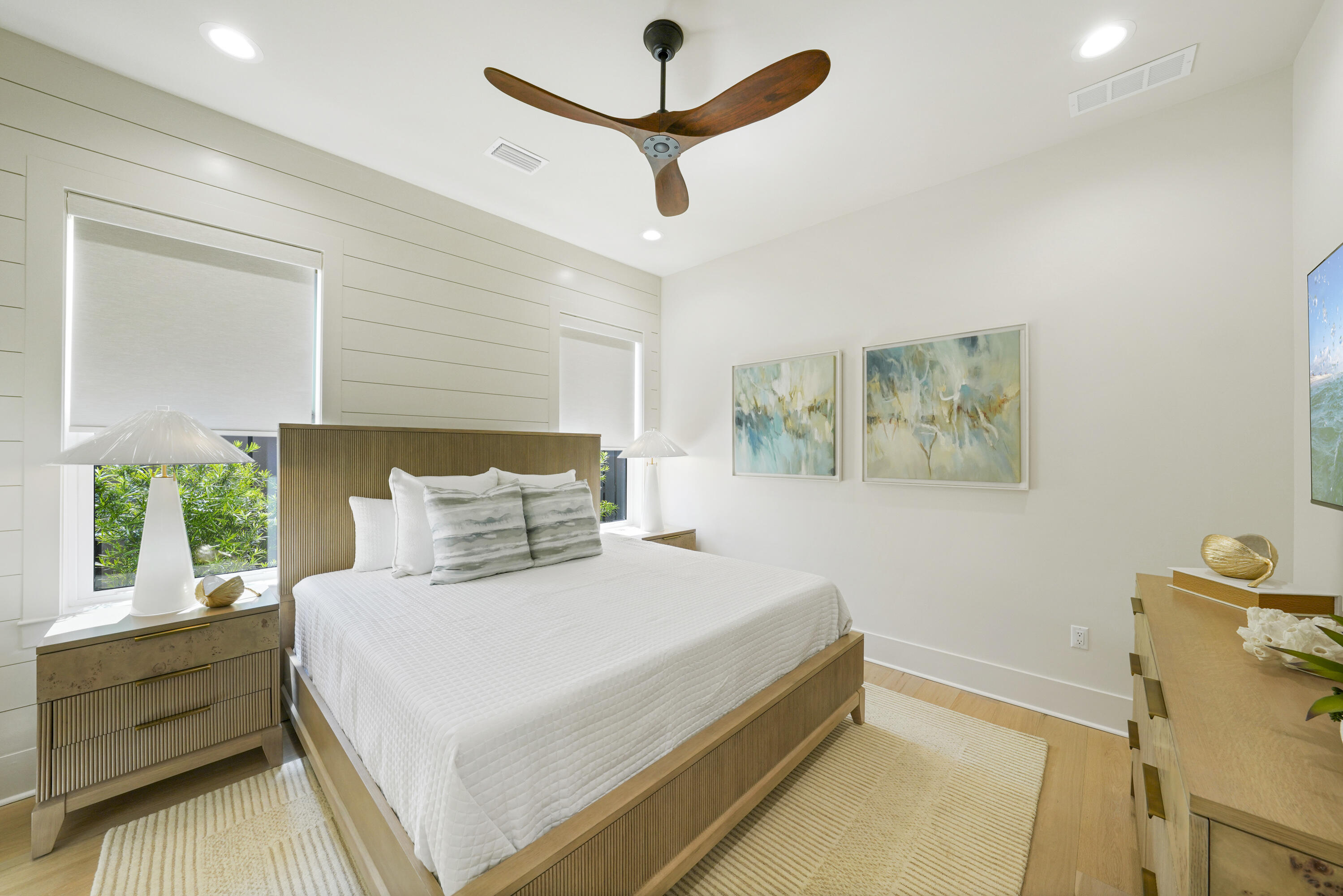 Batchelor's Button - Residential