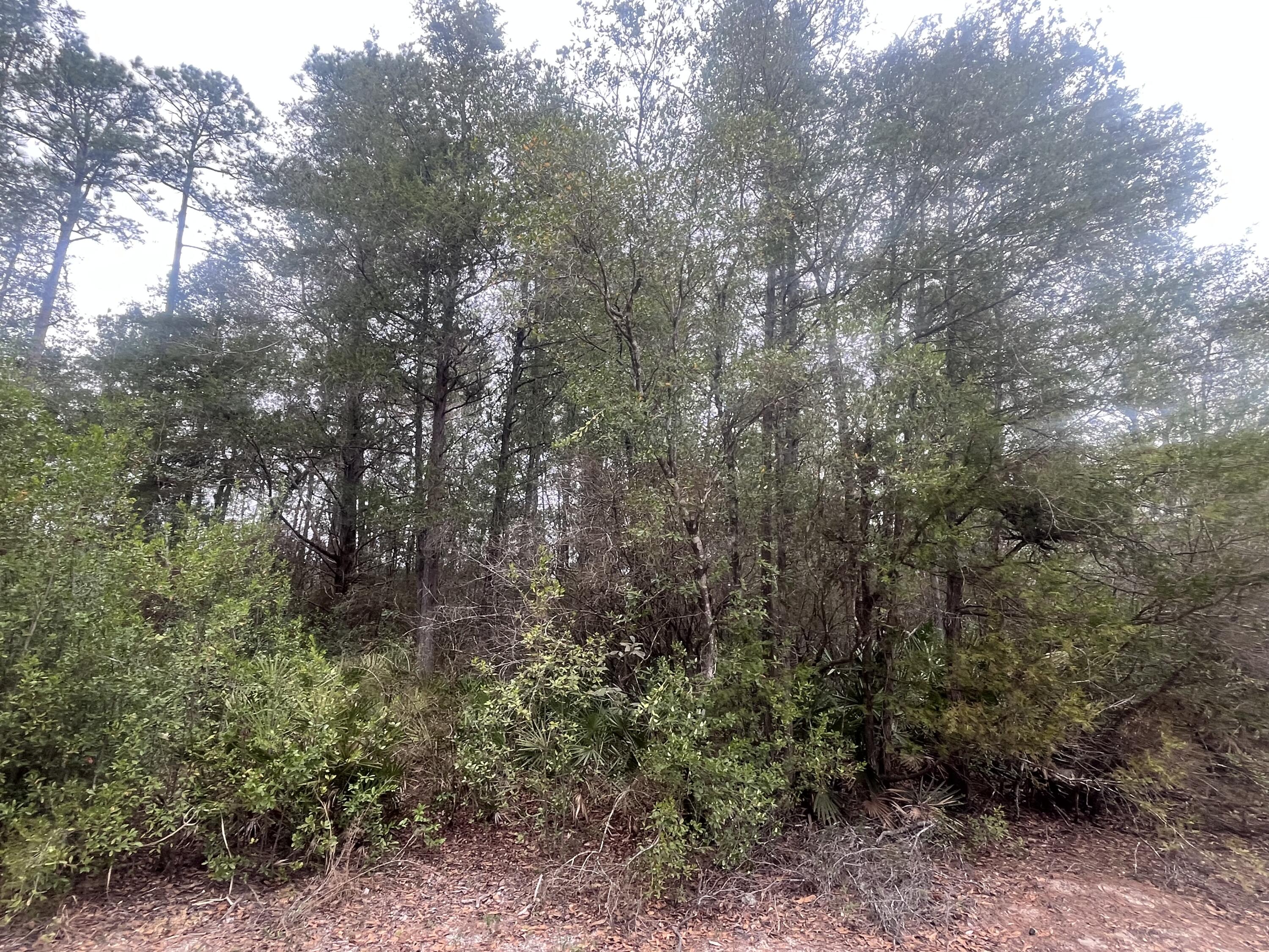 No Named Subdivision - Land