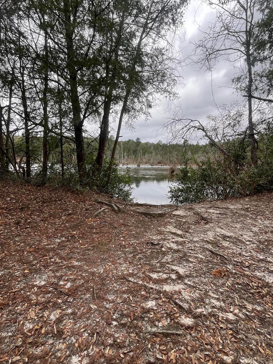 Looking for a place to call your own for a fishing retreat or a future home site?  This could be the one!  Property is less than a mile from the paved road and has plenty of trees.  There is a drive on the edge of the property to the pond. Easily accessible to I10  and convenient to Milton or Crestview. Sellers are selling 2 adjacent parcels.