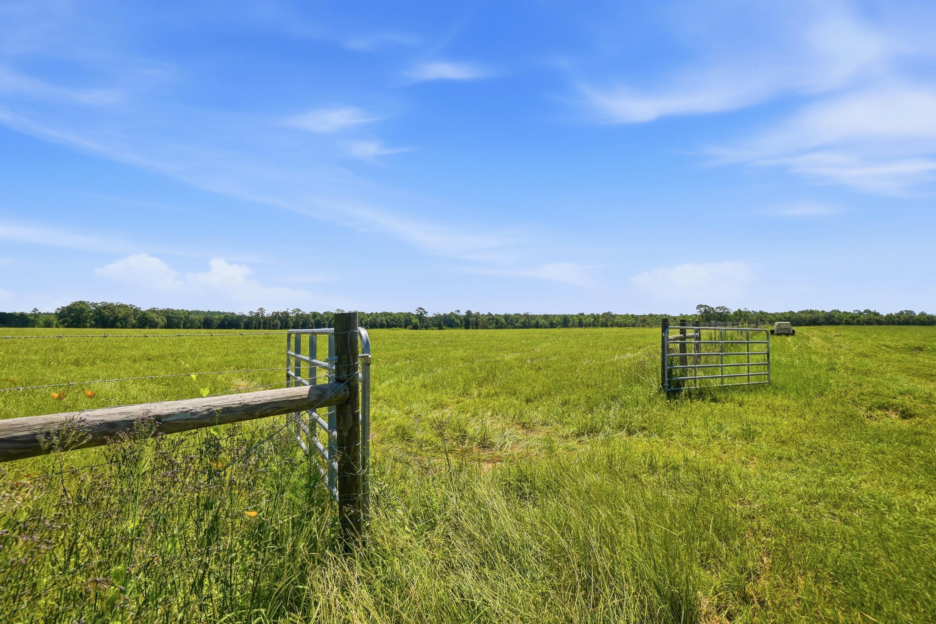 520 Acres US Hwy 331 N