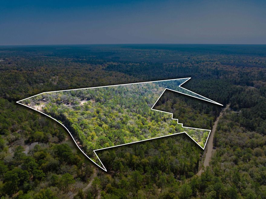 Discover the potential of this expansive 12.75-acre property in Holt, FL, offering over 1,400 feet of road frontage and a private, peaceful setting. This parcel is ready for your dream build with a septic system already installed and approved for a 4-bedroom, 3-bath home. Whether you're looking to build now or invest for the future, this property provides flexibility and space with no HOA restrictions. Enjoy the freedom of rural living while still being within reach of nearby amenities. Electric nearby; well required. A rare opportunity to secure usable acreage with key improvements already in place.