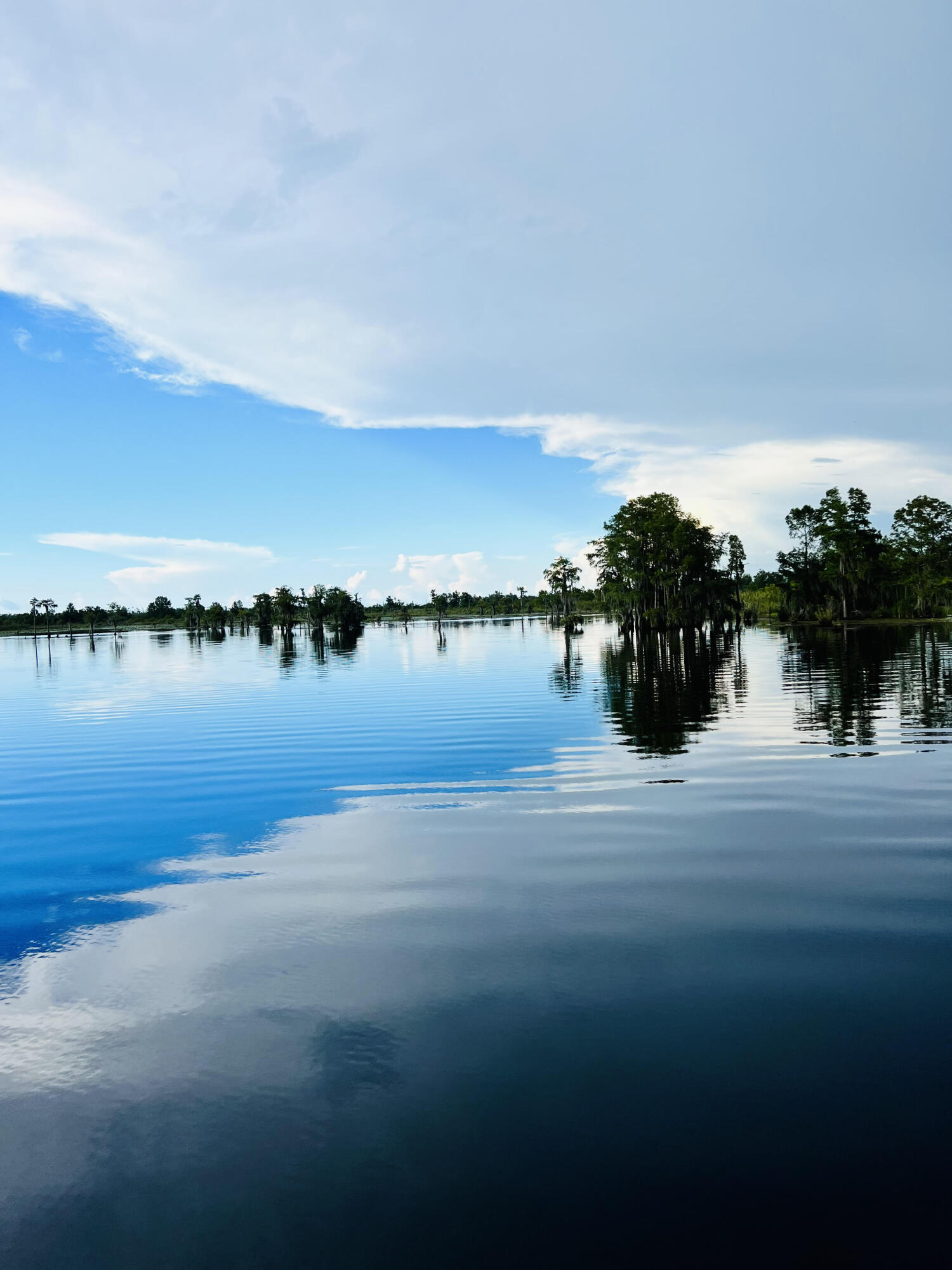 DEERPOINT ESTATES - Residential