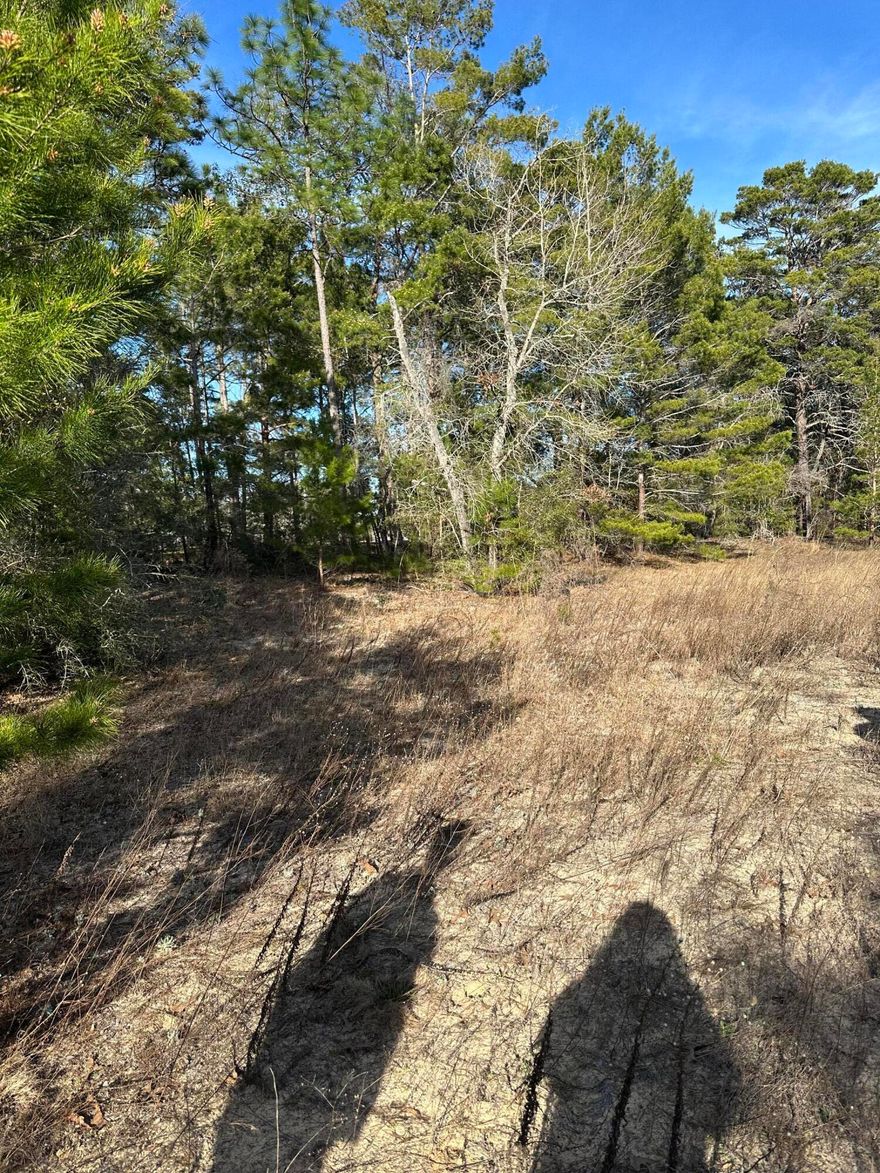 17.91 Acres of blank canvas.  Potential to build subdivision with smaller parcels or build your dream home with acres of privacy.  Creek blows through property and is beautiful.  Access to property from other roads possible.  Imagine the possibilities.  Property is zoned AC Non-AG.  Property has both X and A flood zones because of creek going through property.

Call today for more information.