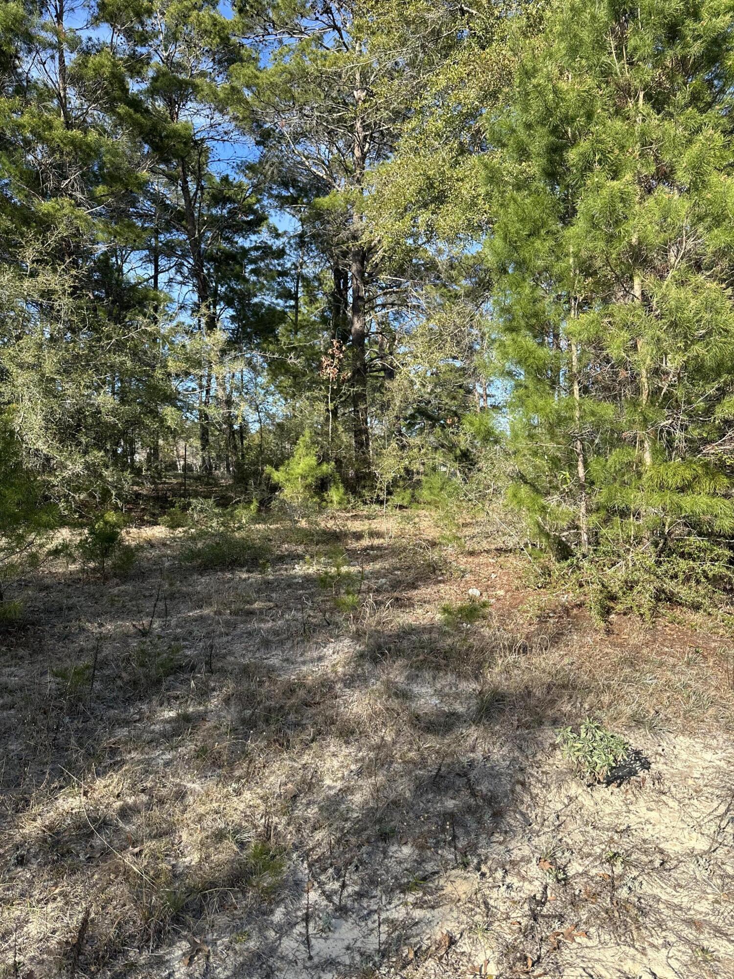 5225 Kimp Road