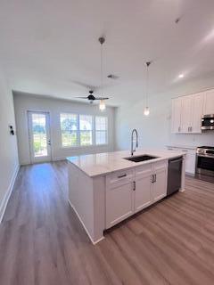 The Grove at Seascape - Residential