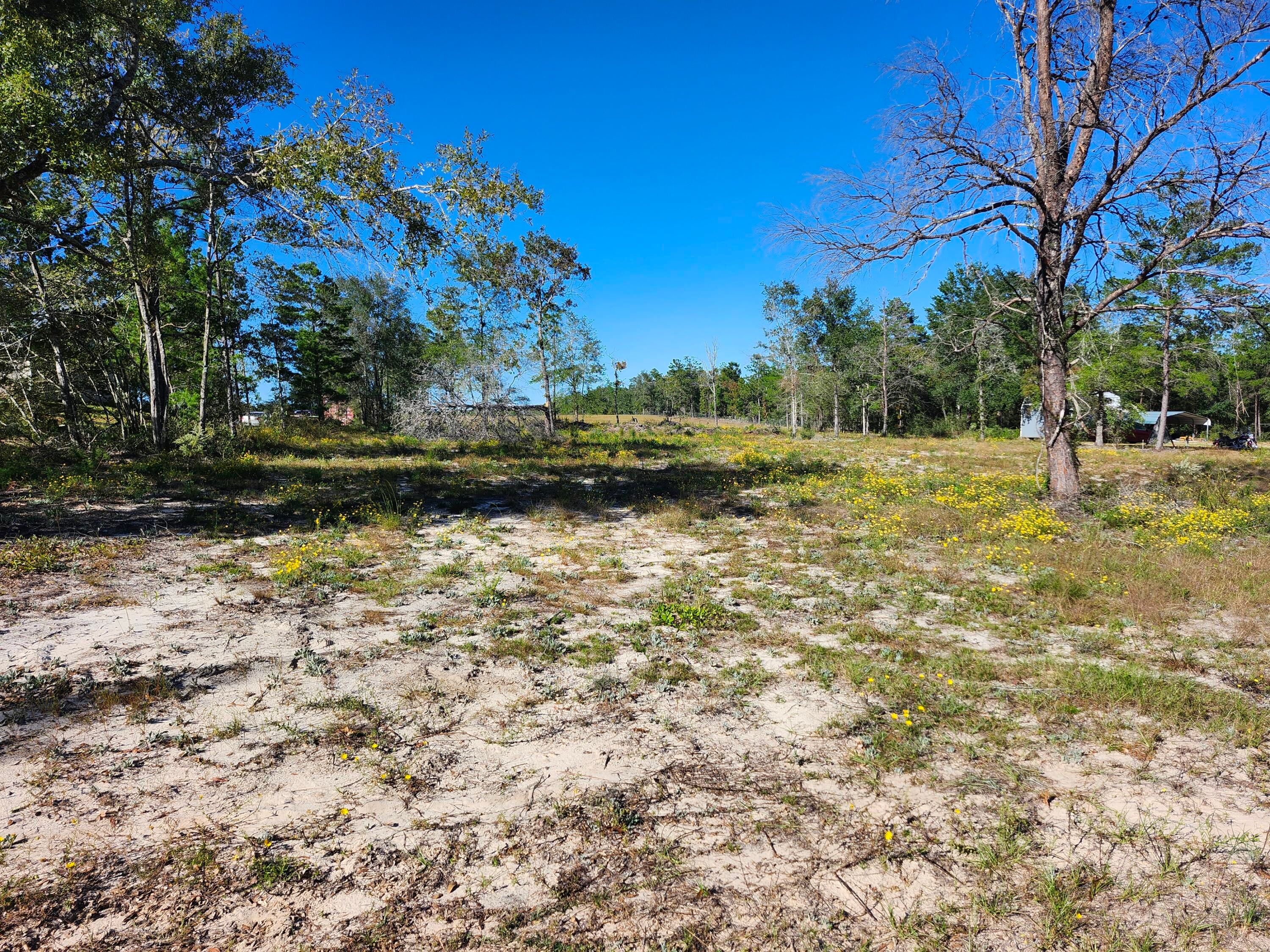 Lot 23 W Bach Drive