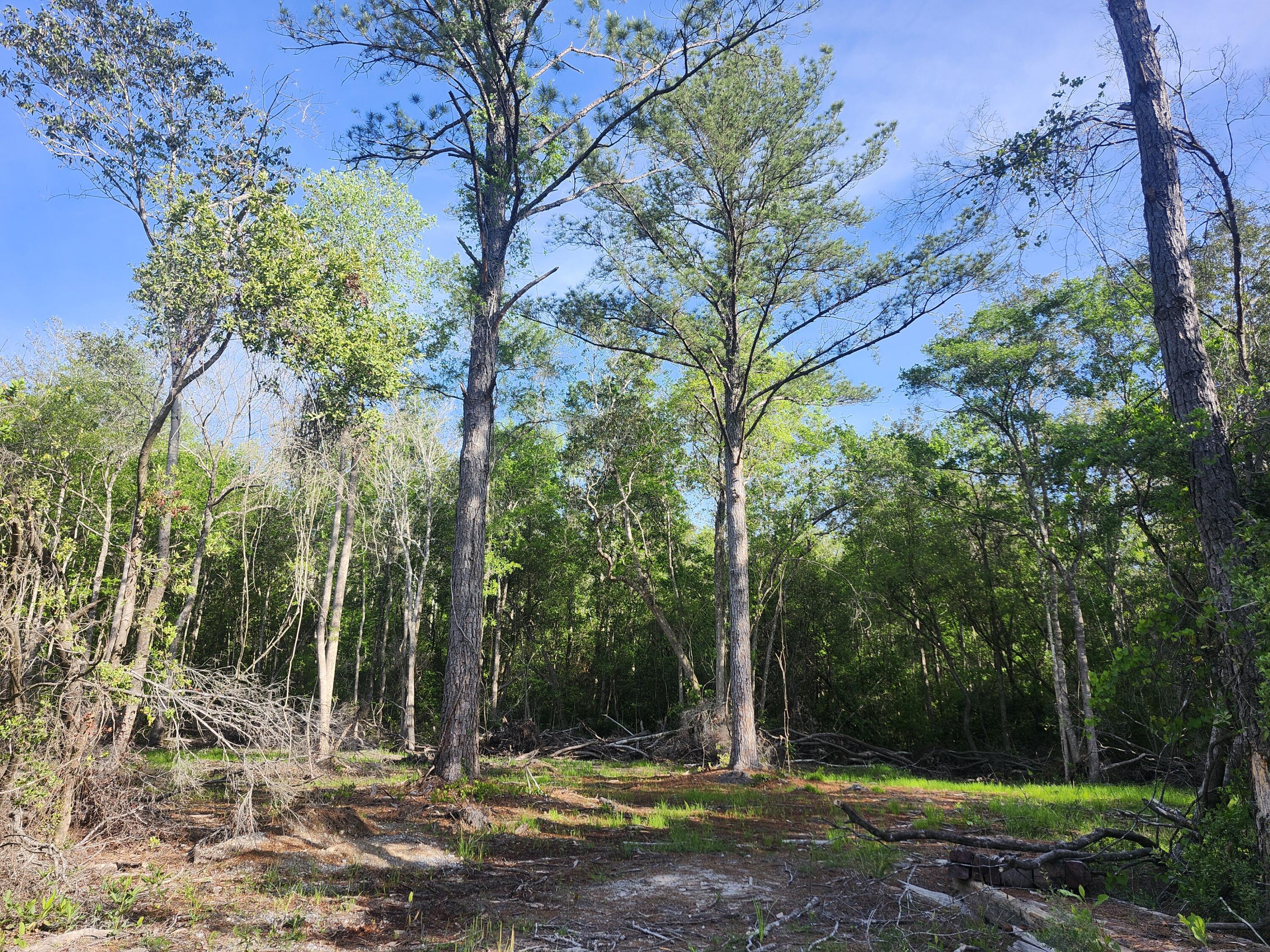 SHOAL RIVER PLANTATION UNREC - Land
