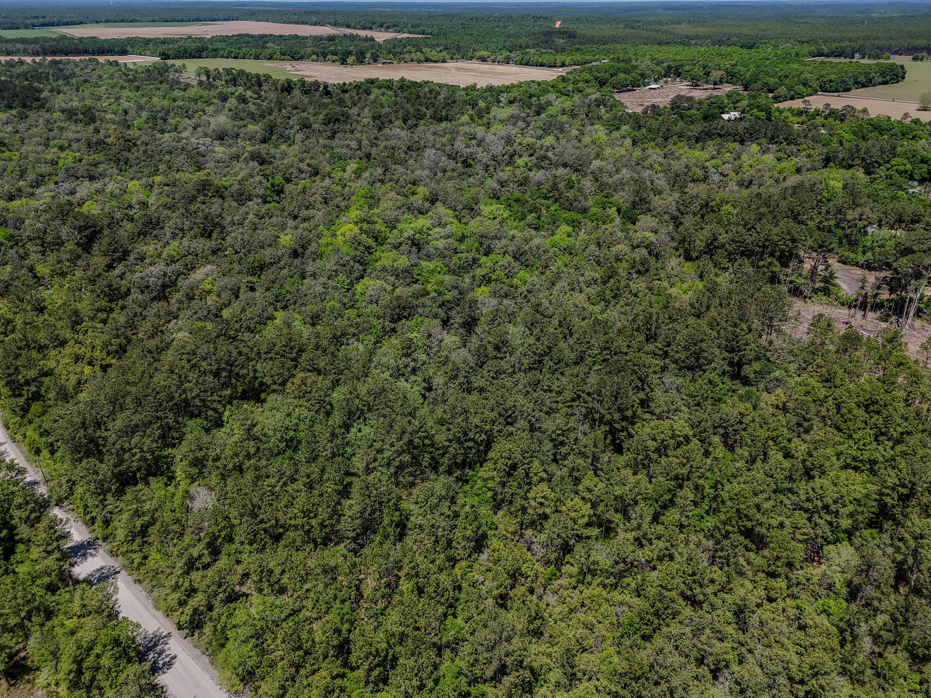 SHOAL RIVER PLANTATION UNREC - Land
