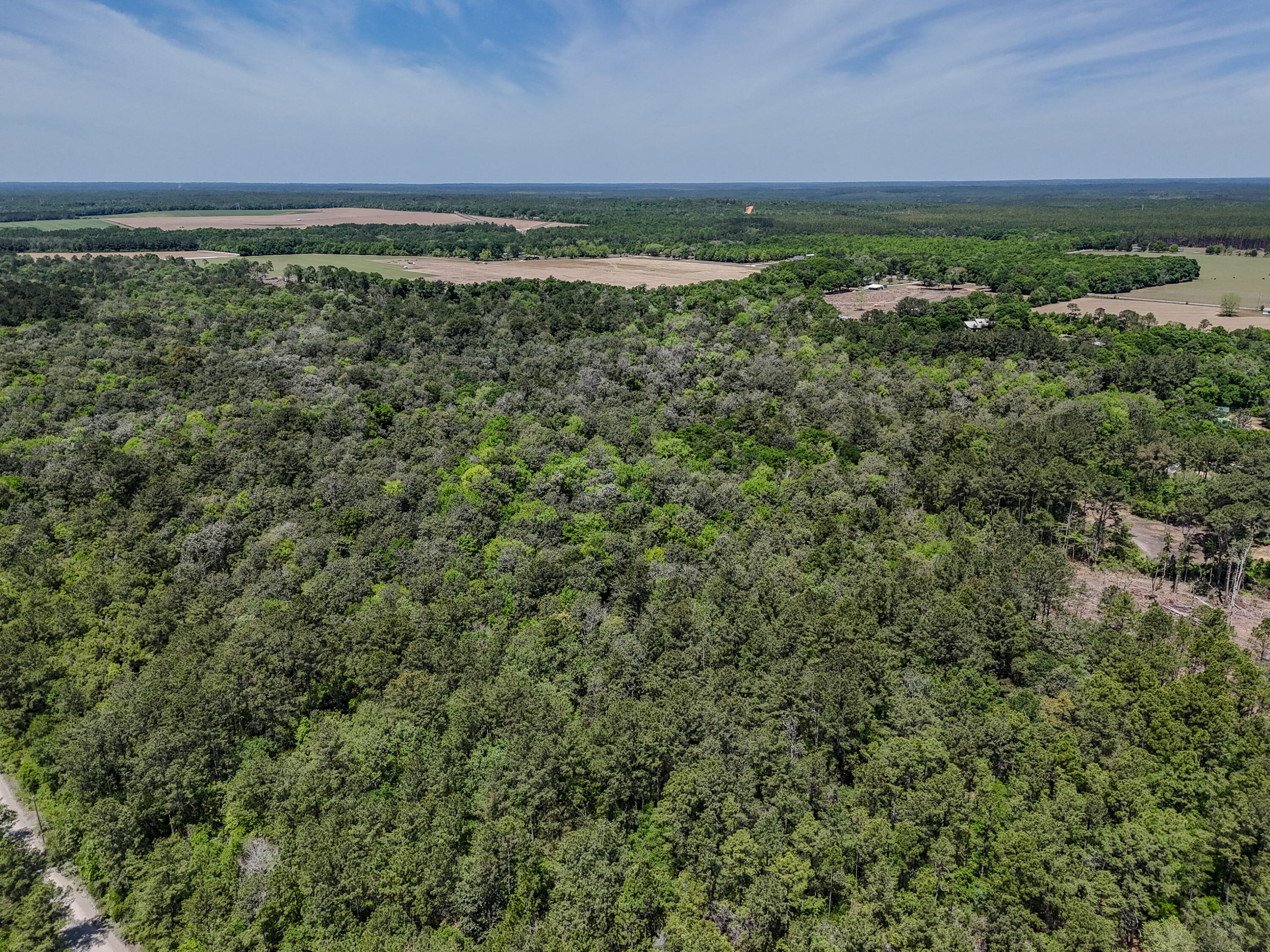 SHOAL RIVER PLANTATION UNREC - Land