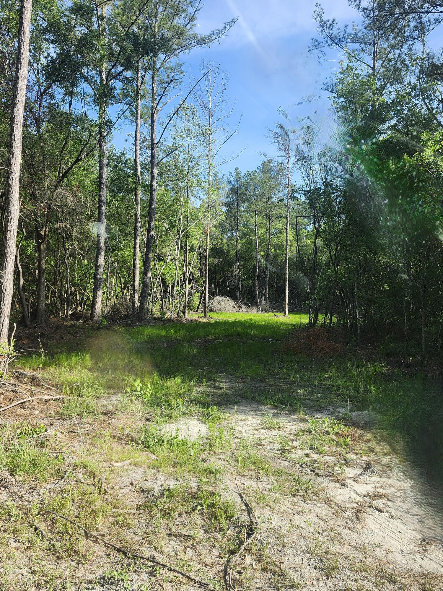 SHOAL RIVER PLANTATION UNREC - Land