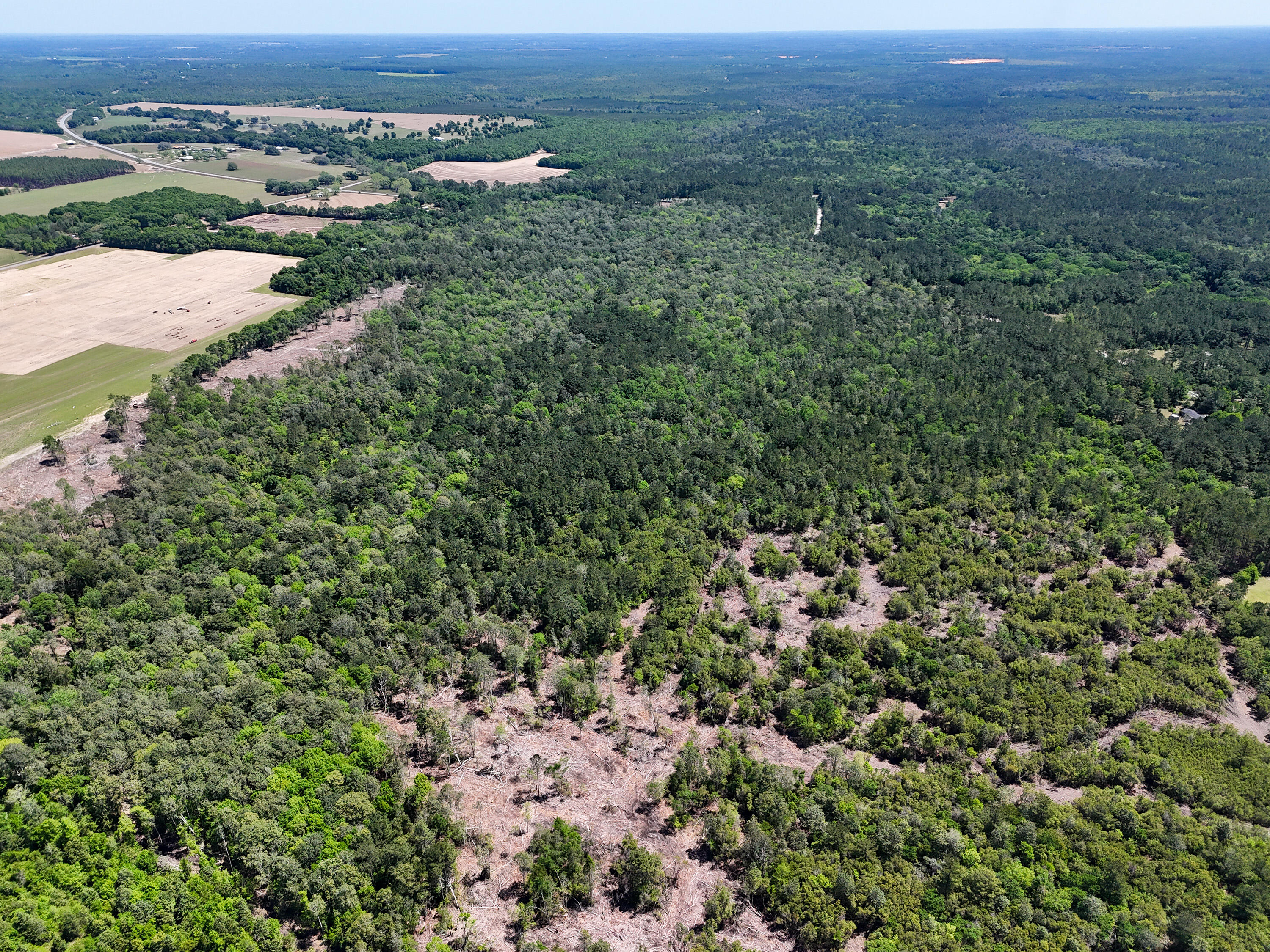 SHOAL RIVER PLANTATION UNREC - Land