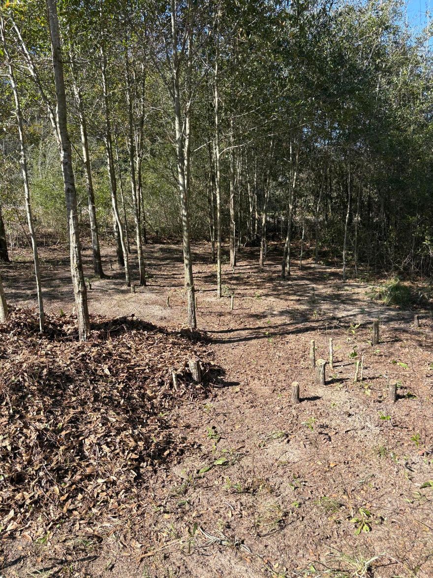 This beautiful, 1.04 acre lot is waiting for you to bring your home plans and vision to make it the perfect place for enjoying all that home ownership can offer. The wooded setting is ideal for privacy, while still allowing you to be part of a neighborhood community. Come see for yourself!