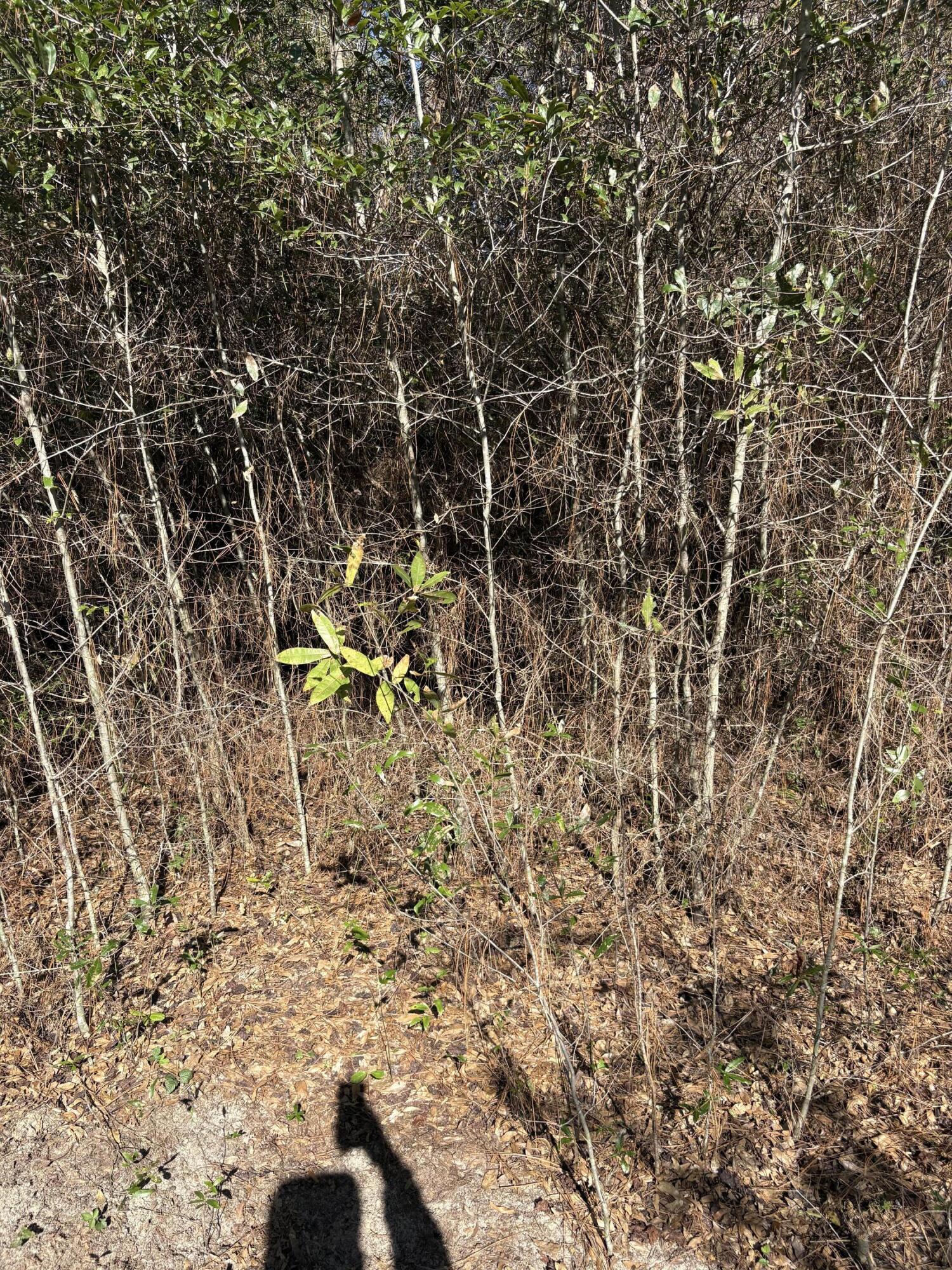 GRANDVIEW HEIGHTS - Land