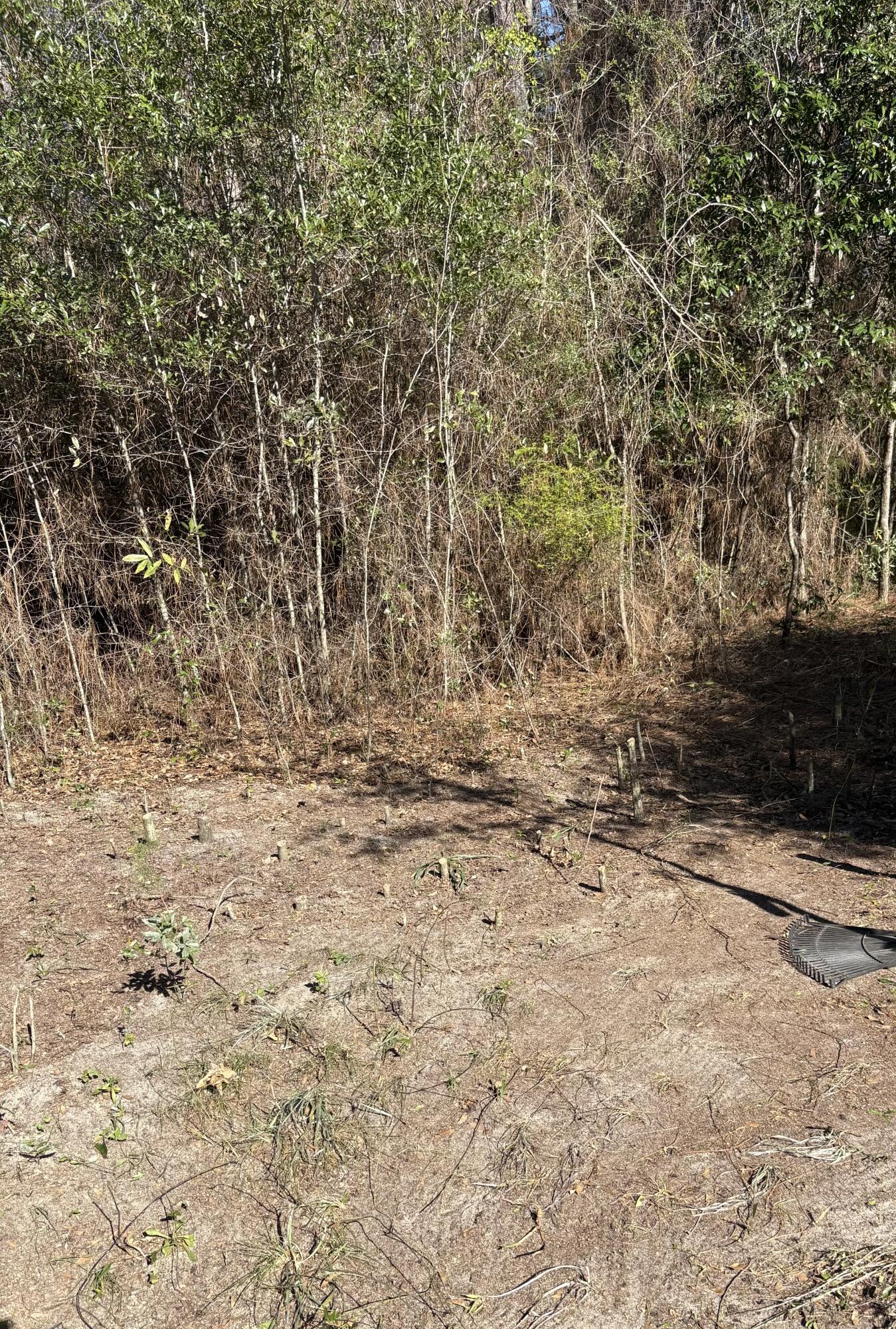 GRANDVIEW HEIGHTS - Land