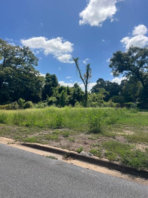 625 W WALNUT AVE, CRESTVIEW, FL 32536 - Image 5b5e0819edc2d43528d6d0b6a42efd01/3441652696