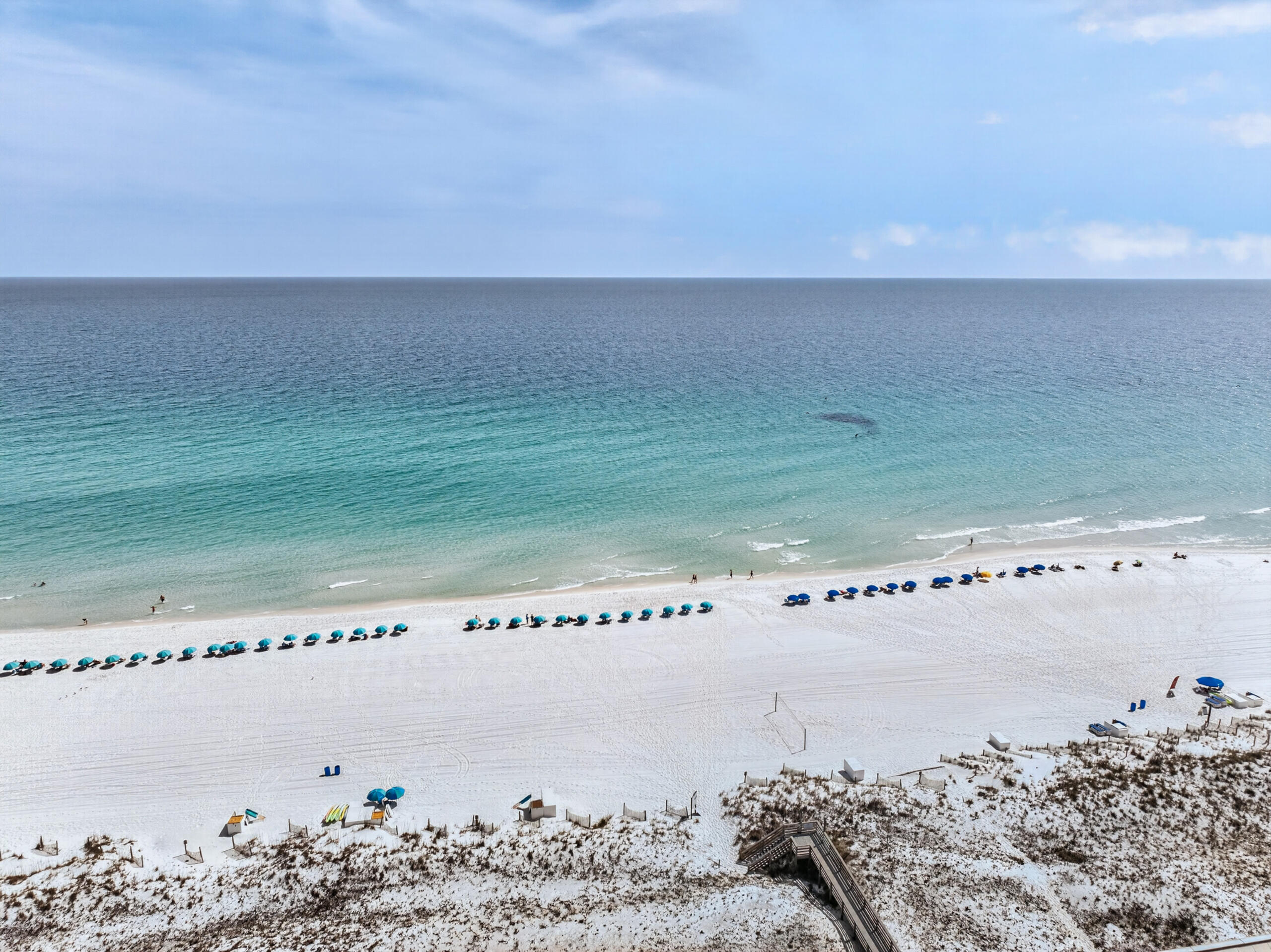 ISLAND PALMS CONDO - Residential