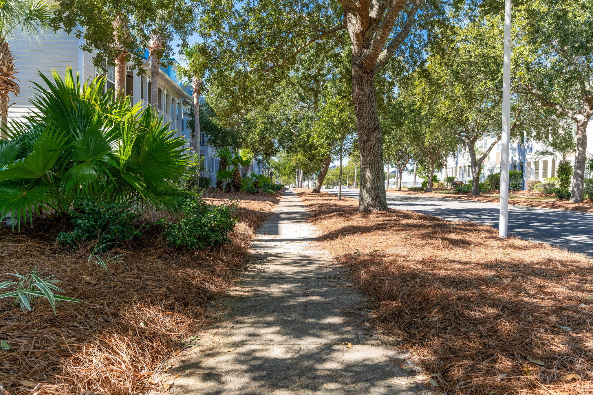 VILLAGE AT BLUE MOUNTAIN BEACH - Residential
