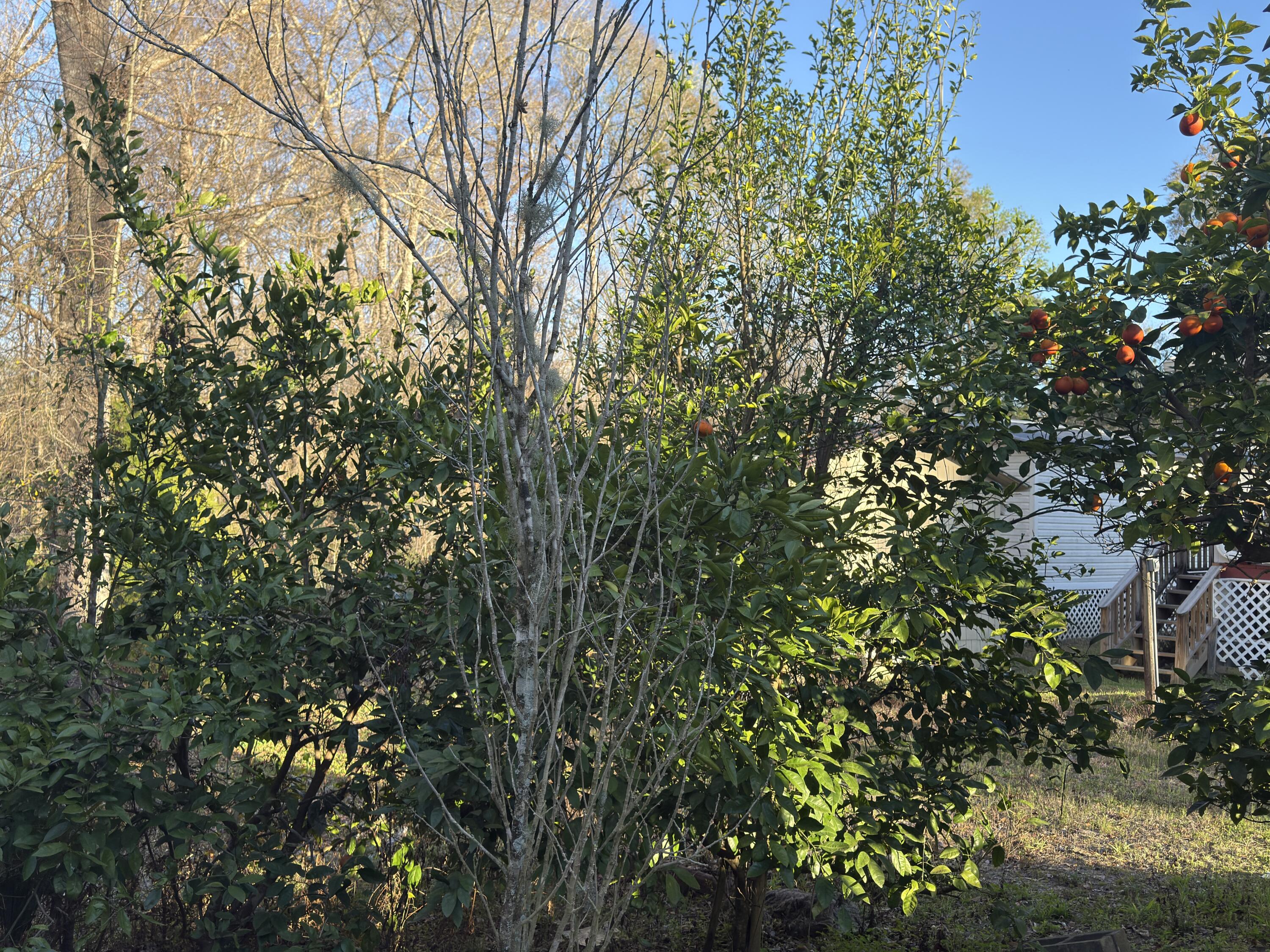 NO RECORDED SUBDIVISION - Residential