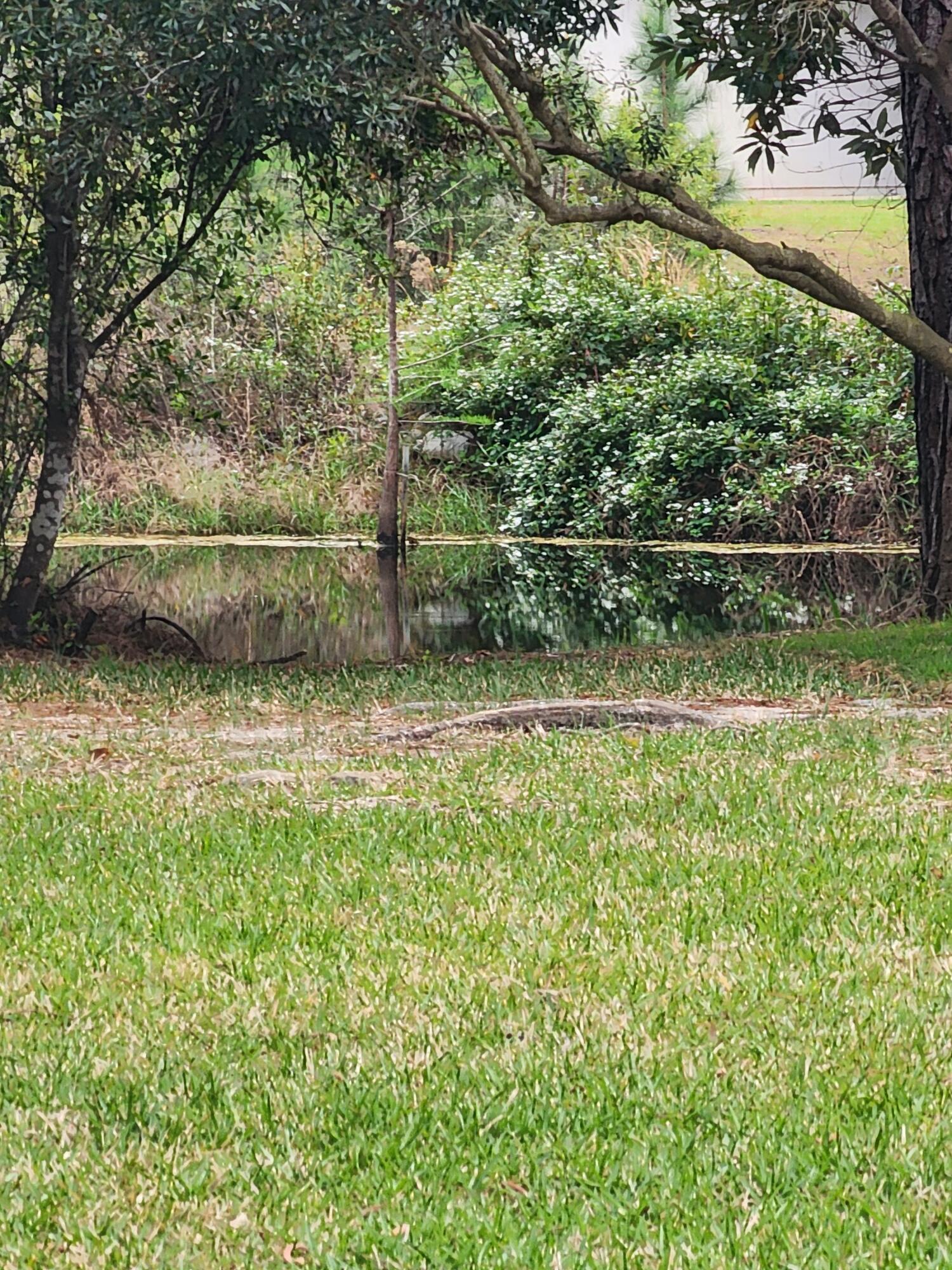 SMUGGLERS COVE - Land