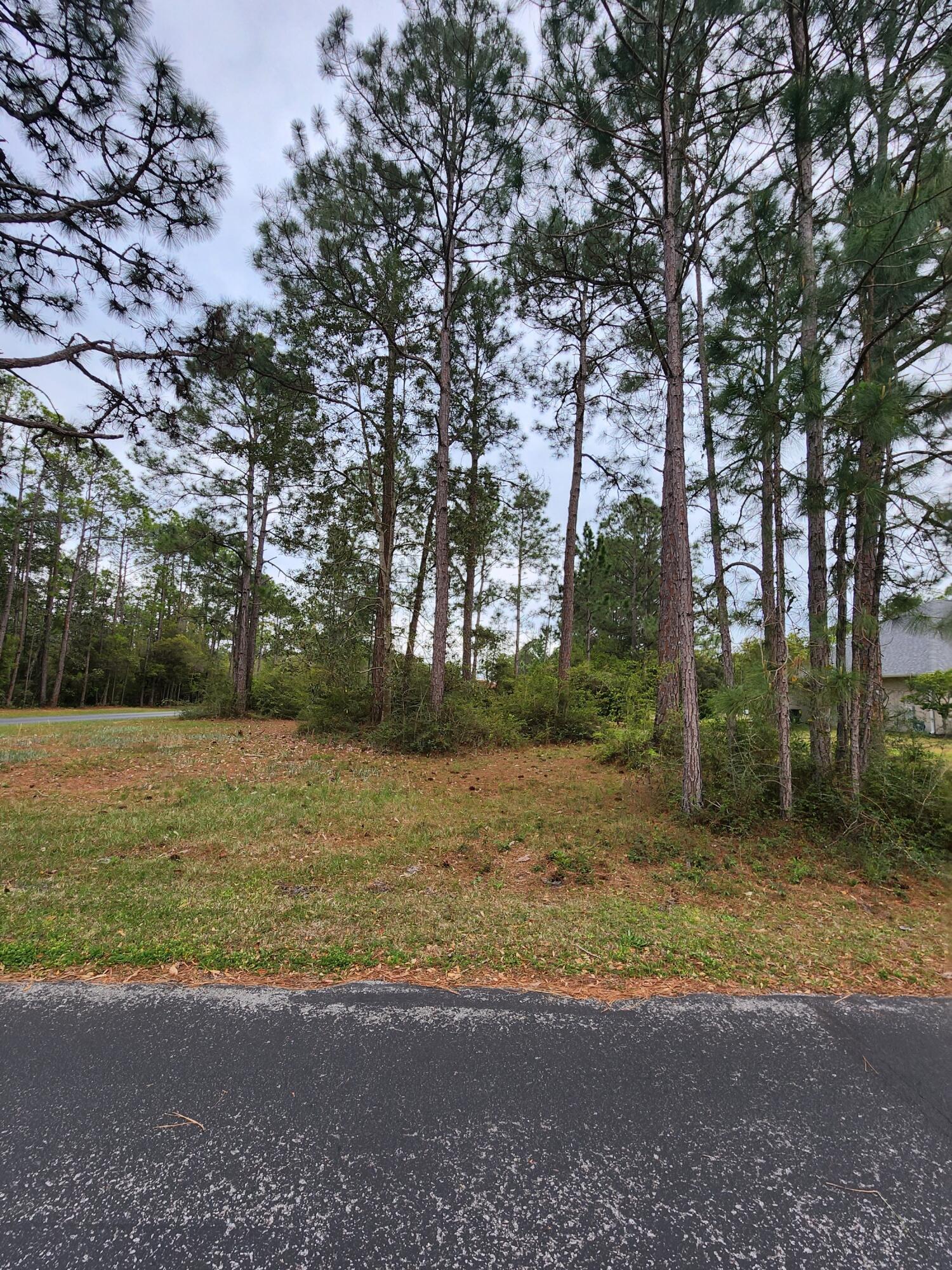 SMUGGLERS COVE - Land