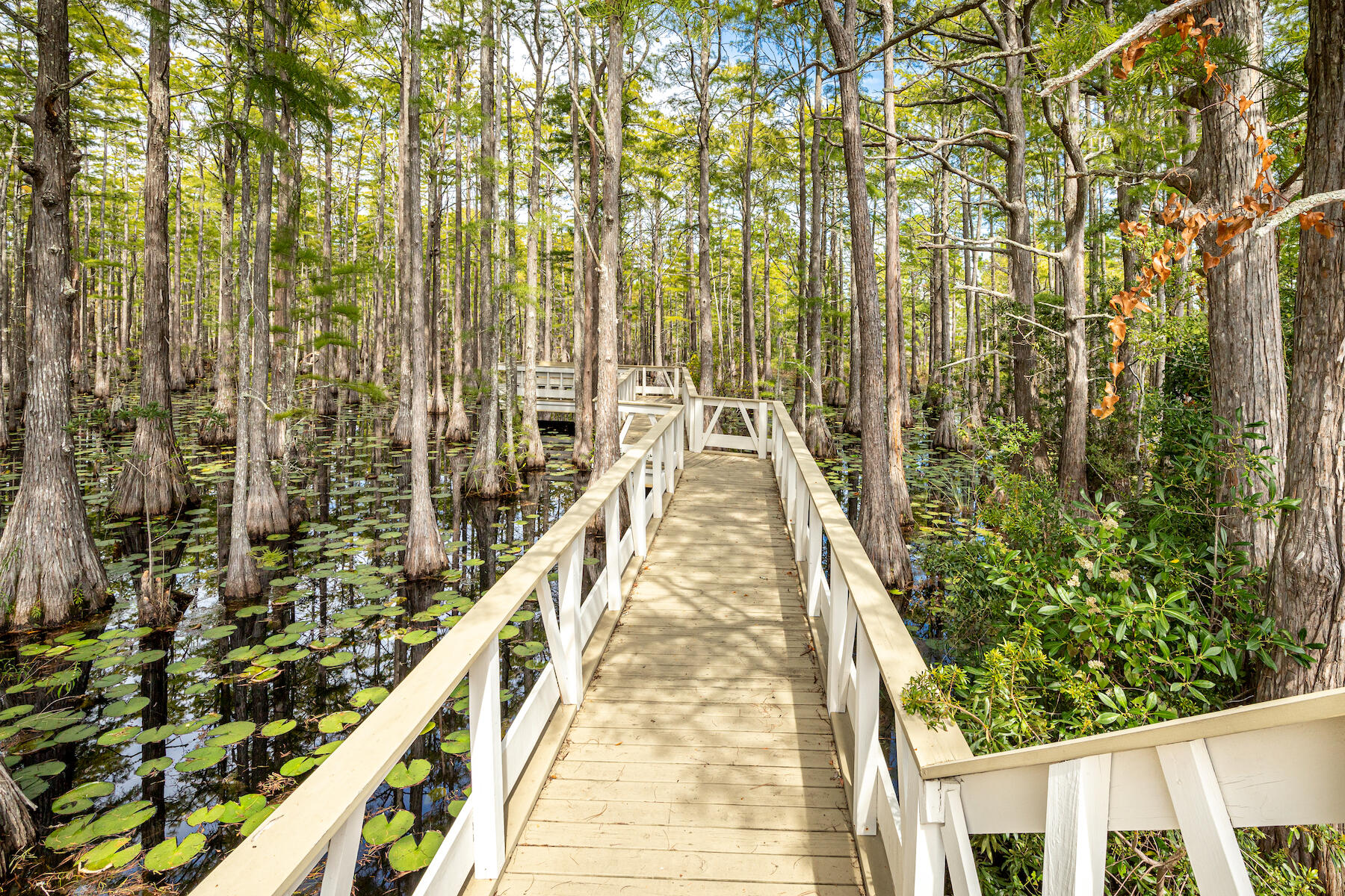 CYPRESS DUNES - Residential