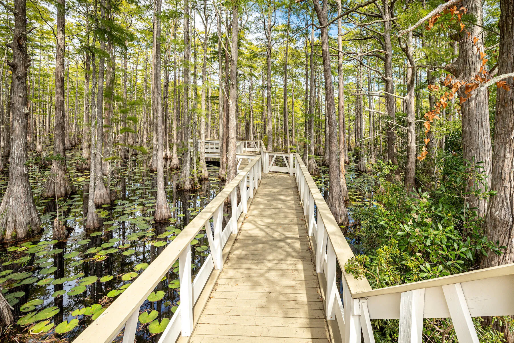 Santa Rosa Beach, Florida, 32459, United States, 3 Bedrooms Bedrooms, ,4 BathroomsBathrooms,Residential,Active,2023287