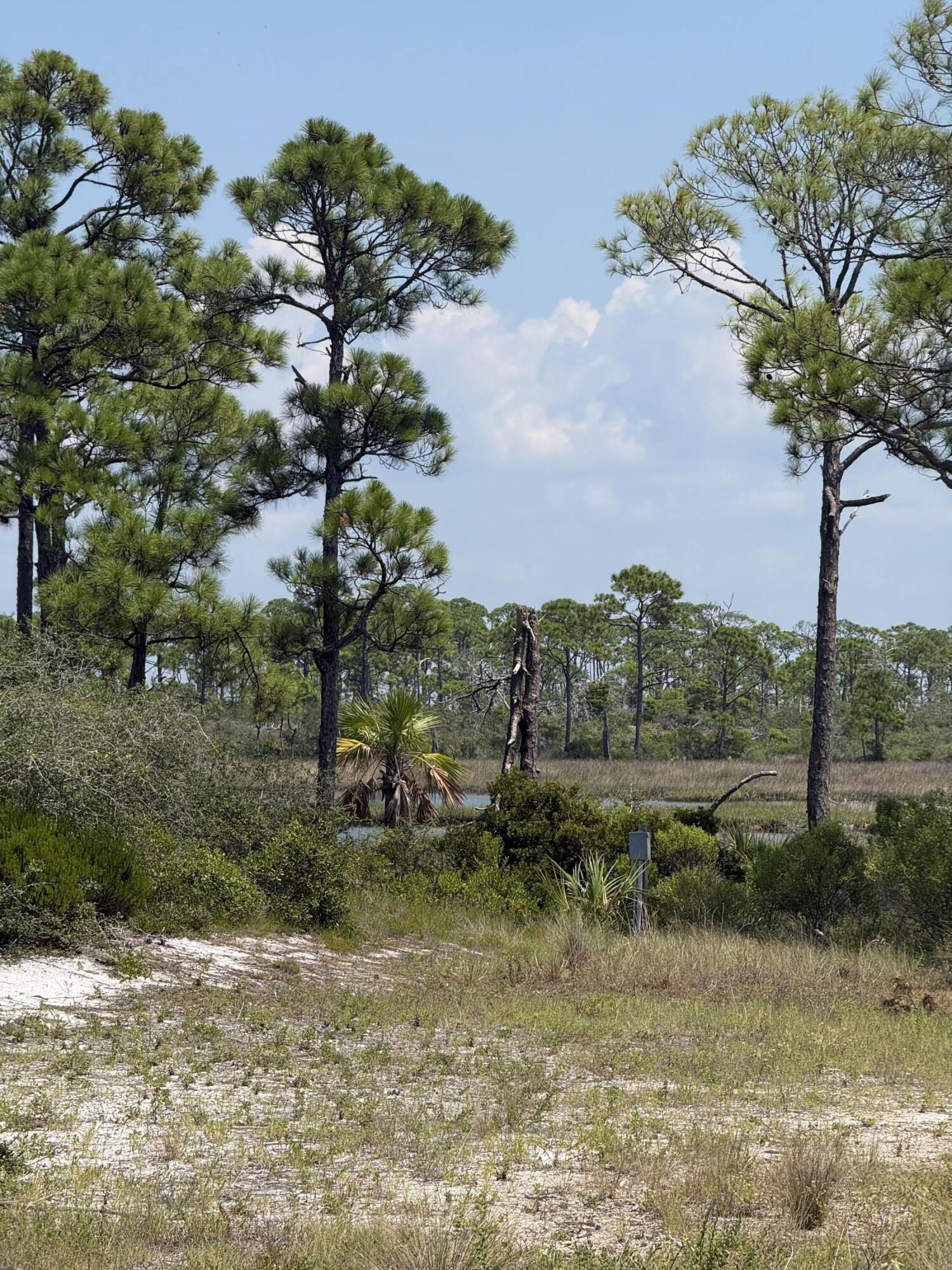 4746 Cape San Blas Road