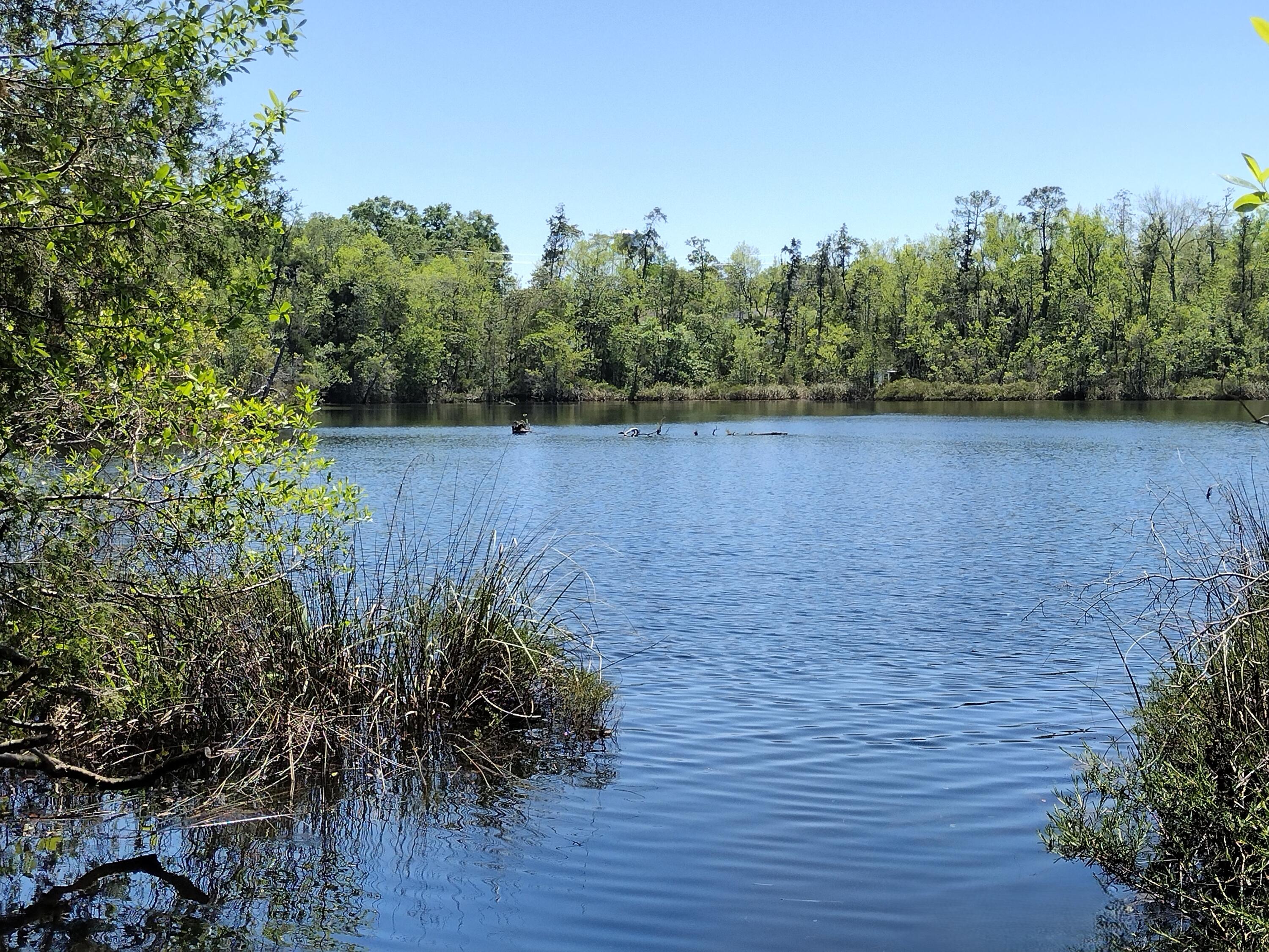 PARCHTOWN - Residential