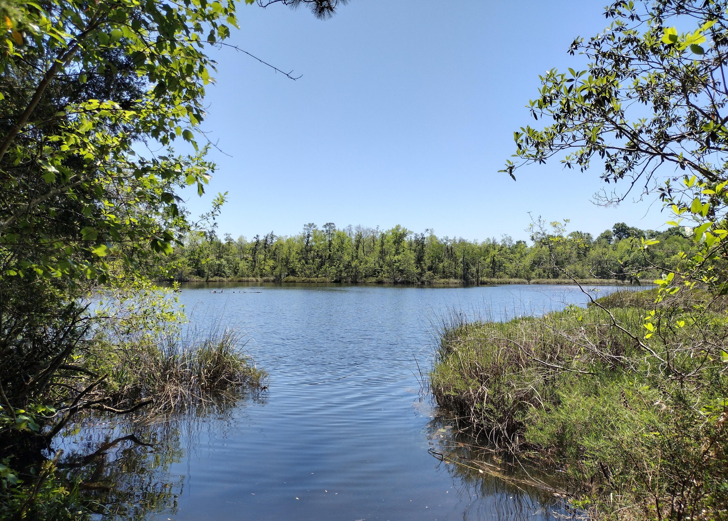 PARCHTOWN - Residential