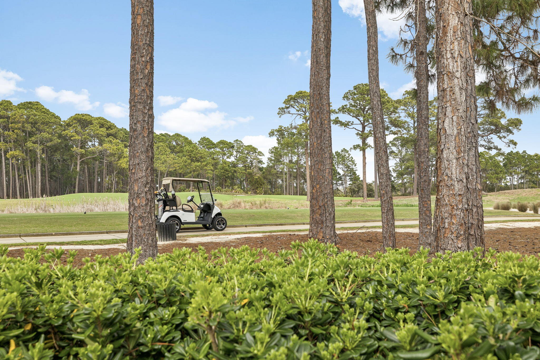 FAIRWAY VILLAS - Residential