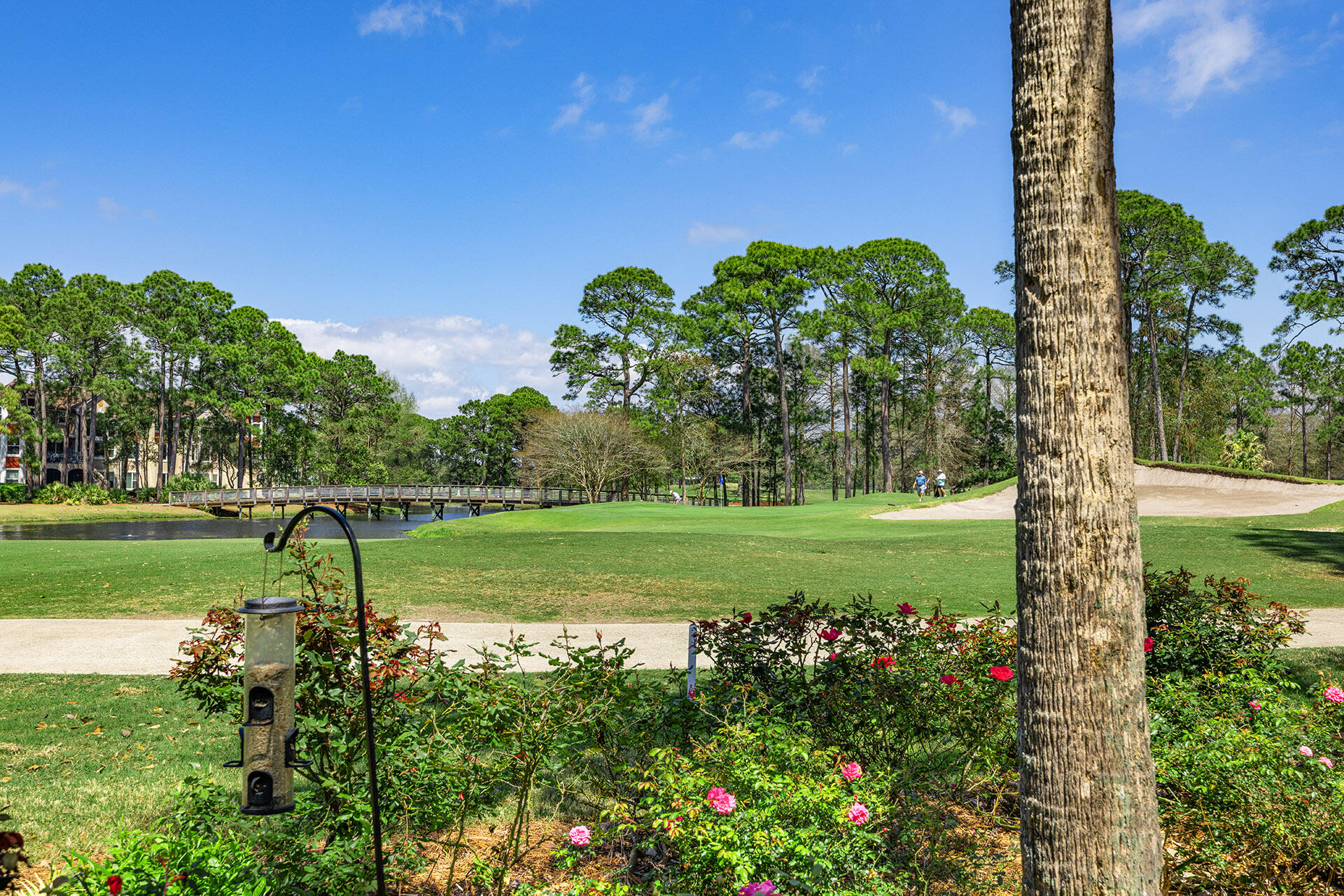 ST ANDREWS DRIVE AT SANDESTIN - Residential