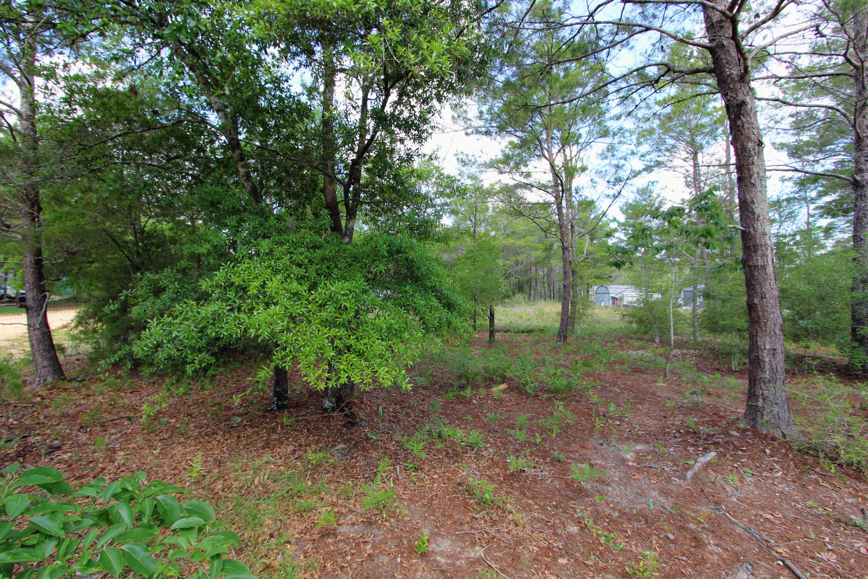 Defuniak Springs - Land